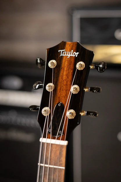 Taylor Custom Shop T5z Custom #C0960 Figured Ironbark/Shamel Ash Hollow Body Electric Guitar with Hardshell Case