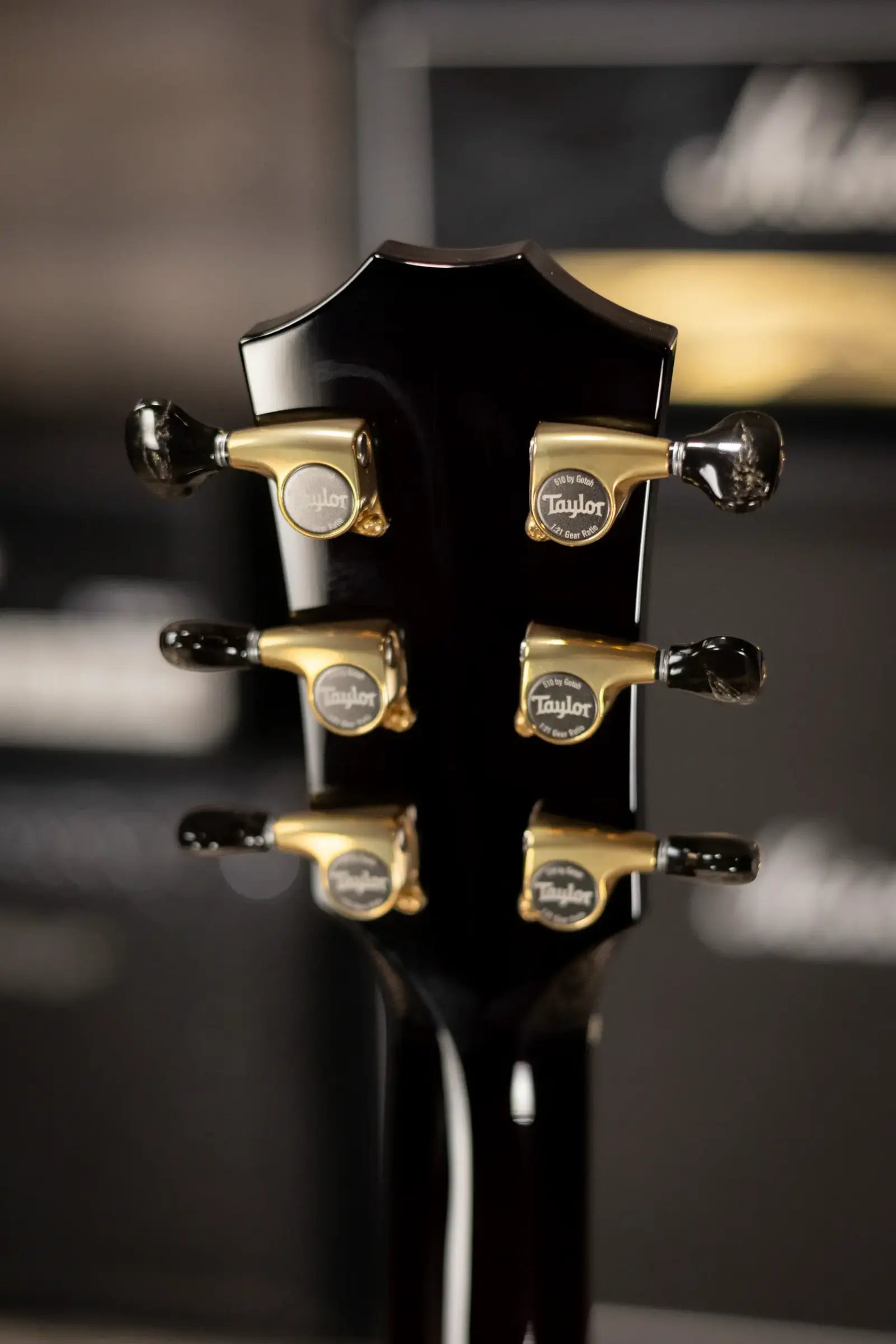 Taylor Custom Shop T5z Custom #C0960 Figured Ironbark/Shamel Ash Hollow Body Electric Guitar with Hardshell Case