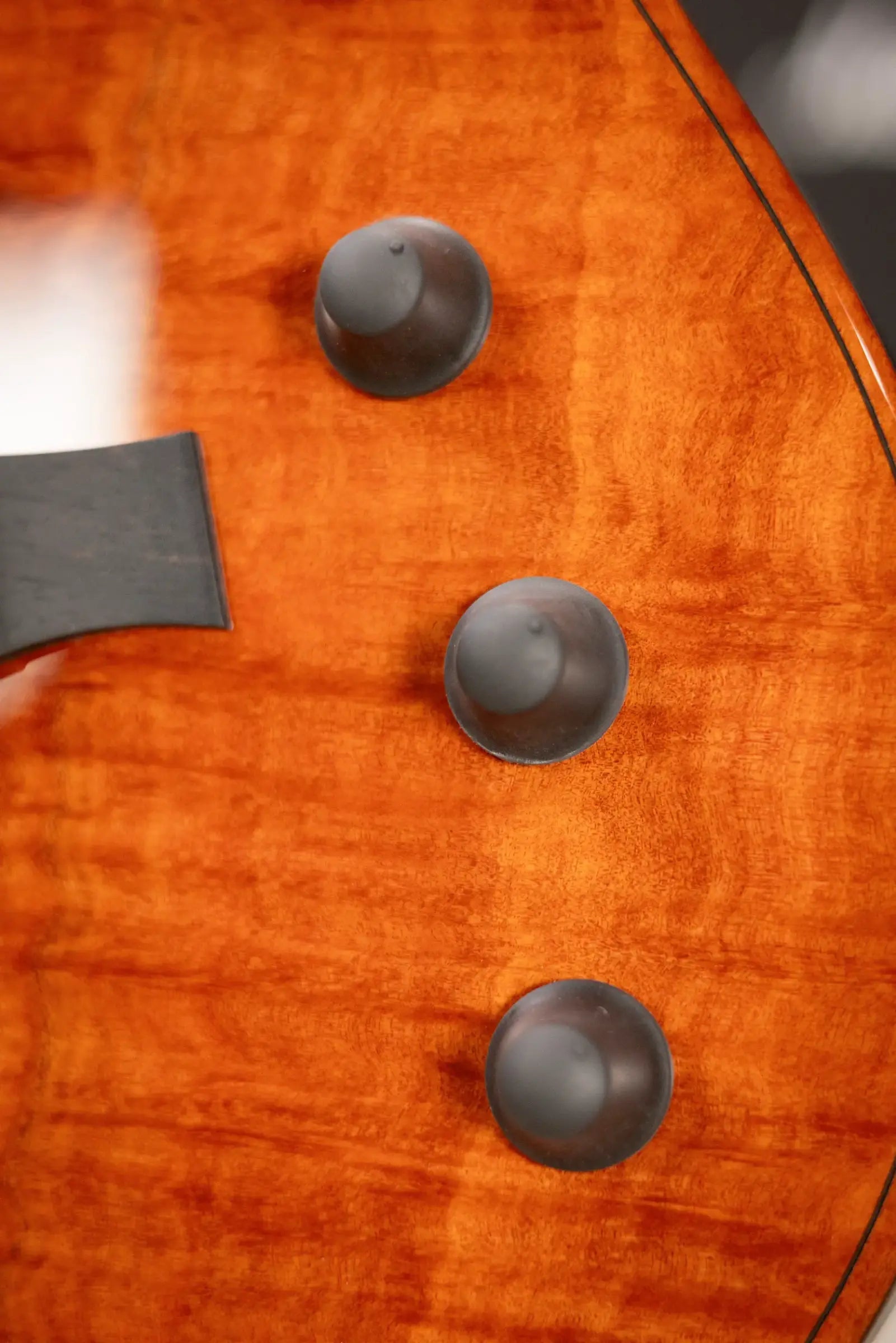 Taylor Custom Shop T5z Custom #C0960 Figured Ironbark/Shamel Ash Hollow Body Electric Guitar with Hardshell Case