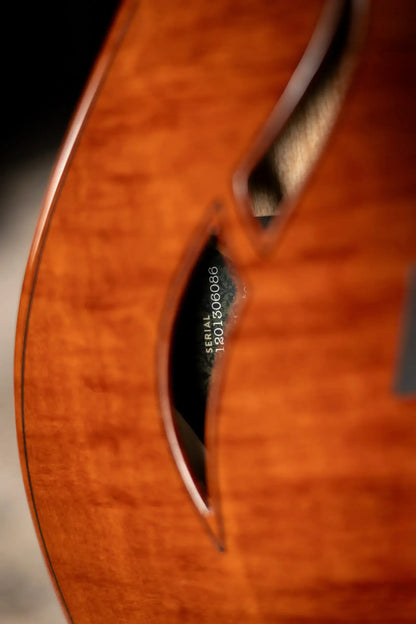 Taylor Custom Shop T5z Custom #C0960 Figured Ironbark/Shamel Ash Hollow Body Electric Guitar with Hardshell Case