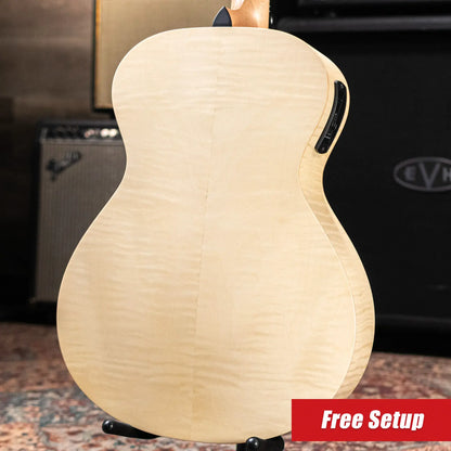 Taylor EG-12e LTD Academy Lutz Spruce/Maple Grand Concert Acoustic/Electric Guitar with Gig Bag