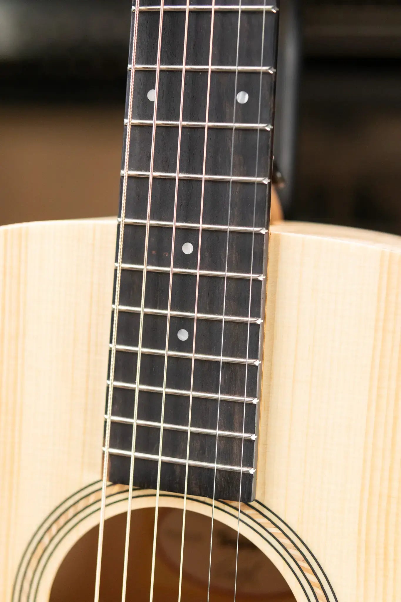 Taylor EG-12e LTD Academy Lutz Spruce/Maple Grand Concert Acoustic/Electric Guitar with Gig Bag