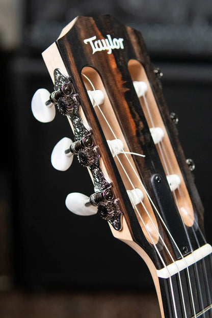 Taylor EG-12e-N LTD Academy Lutz Spruce/Maple Grand Concert Acoustic/Electric Guitar with Gig Bag - Demo
