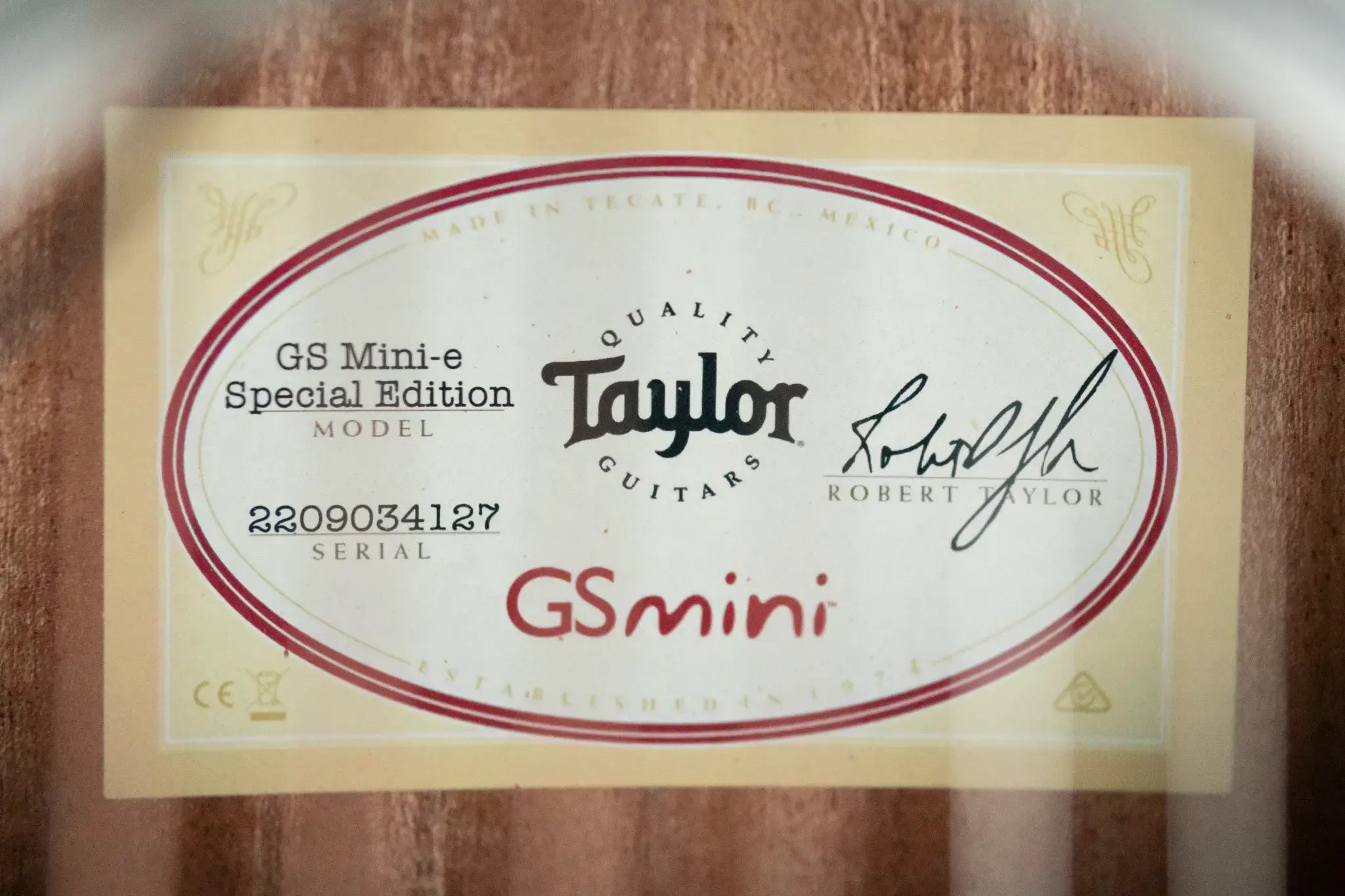 Taylor GS MIni-e Special Edition Acoustic/Electric - Transparent White with GS Mini Bag