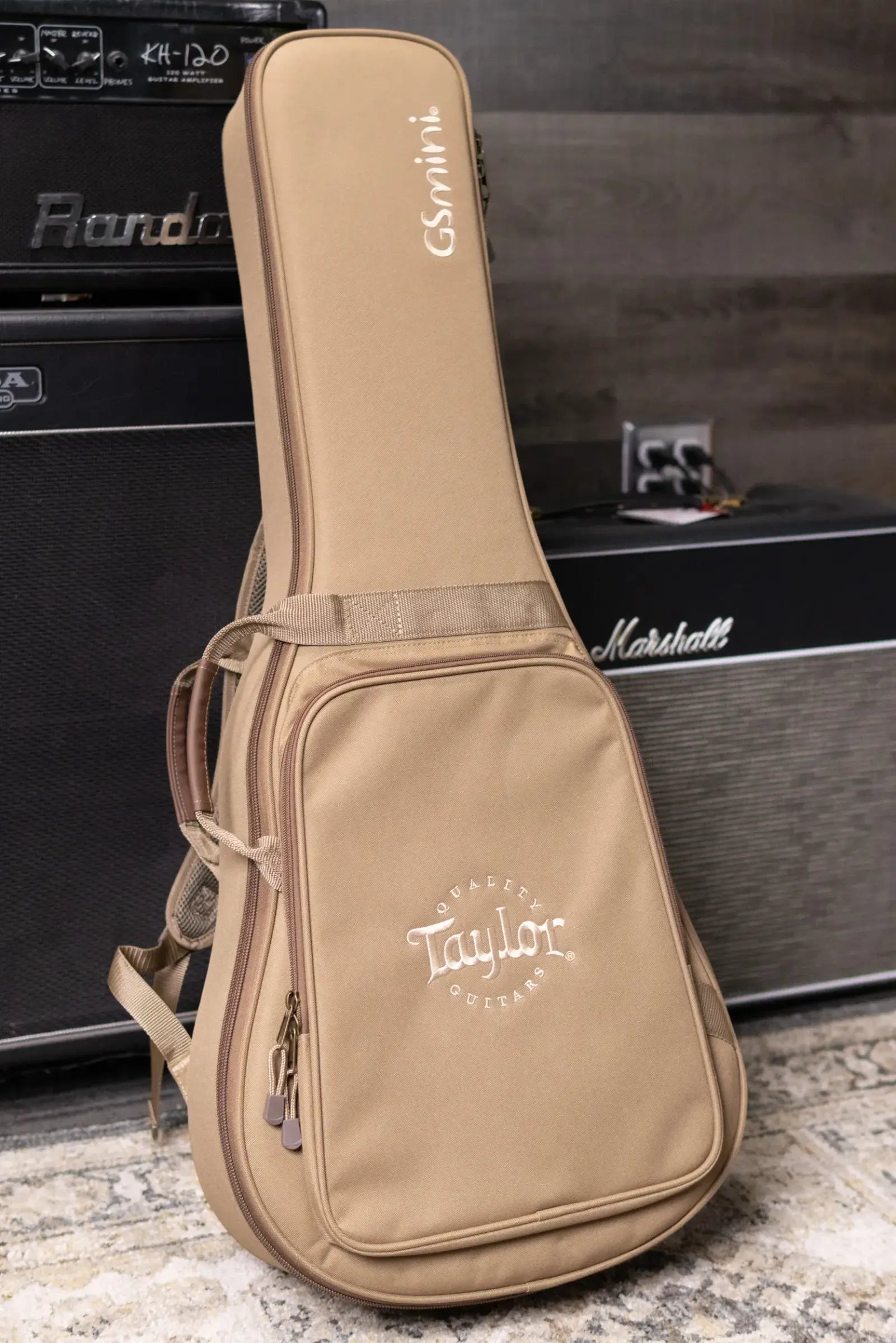 Taylor GS Mini Mahogany Acoustic Guitar with GS Mini Bag