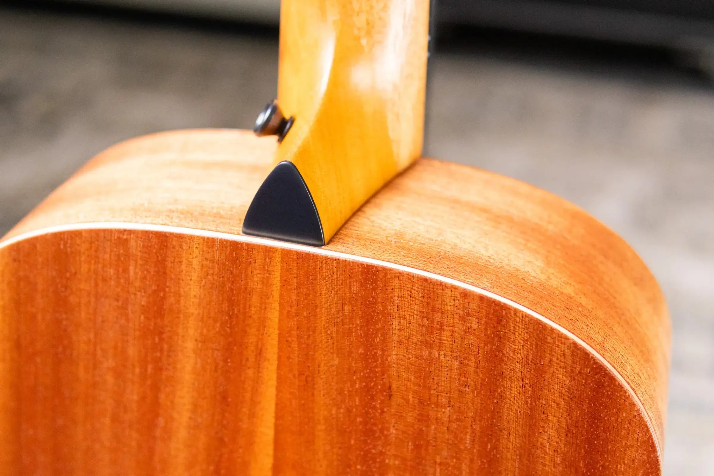 Taylor GS Mini Mahogany Acoustic Guitar with GS Mini Bag
