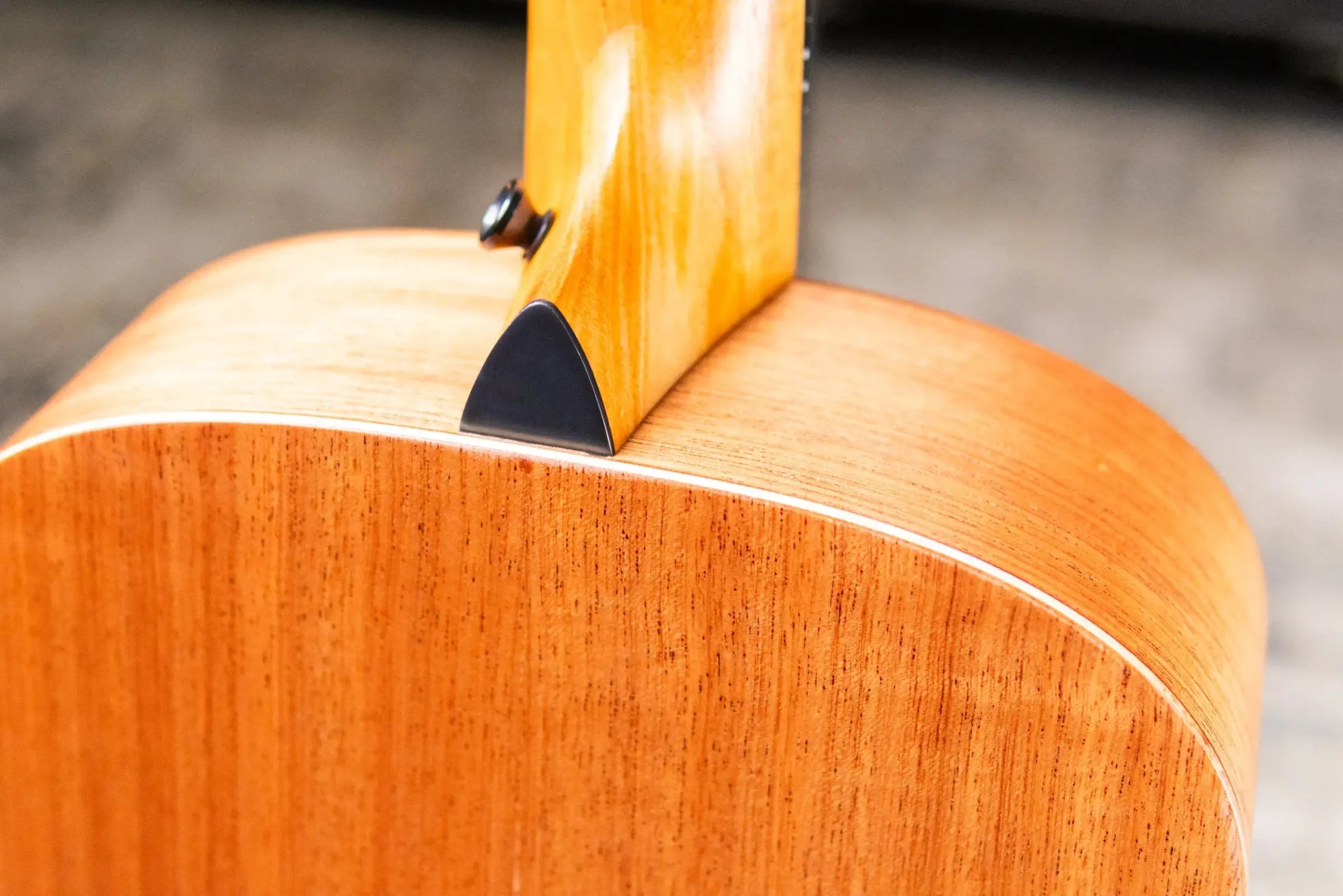 Taylor GS Mini Mahogany Acoustic Guitar with GS Mini Bag