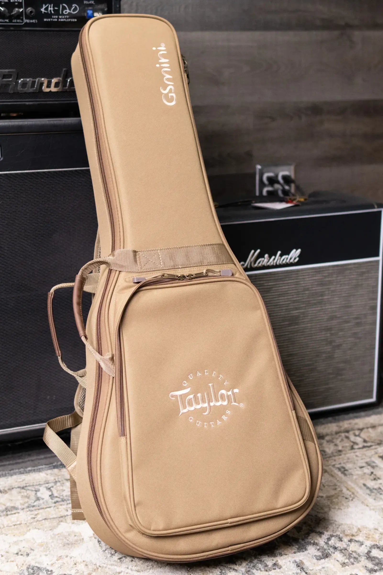 Taylor GS Mini Mahogany Acoustic Guitar with GS Mini Bag