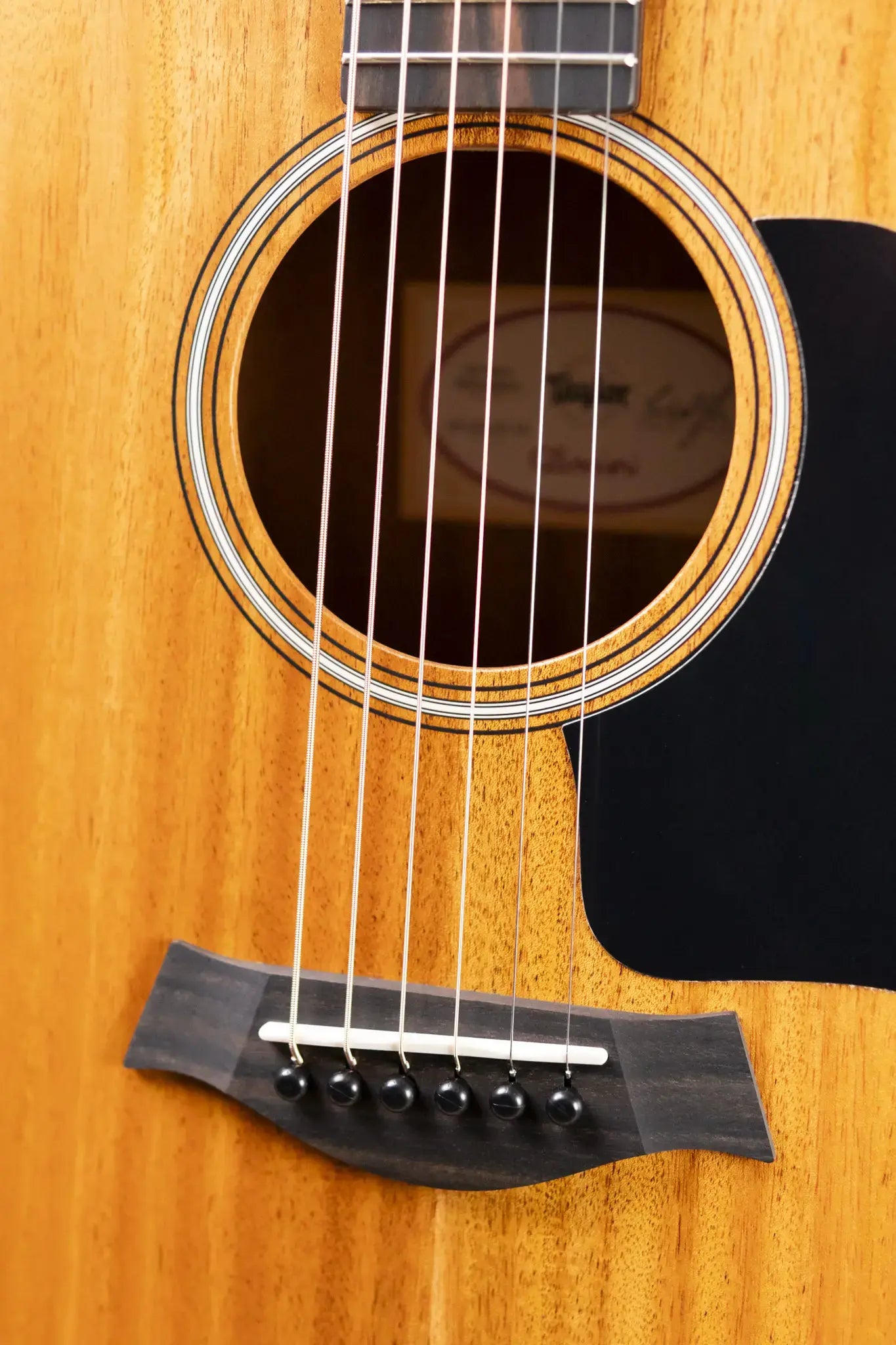 Taylor GS Mini Mahogany Acoustic Guitar with Gig Bag