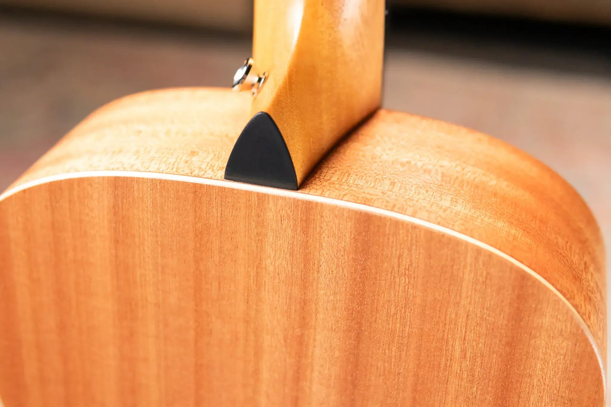 Taylor GS Mini Mahogany Acoustic Guitar with Structured Gig Bag