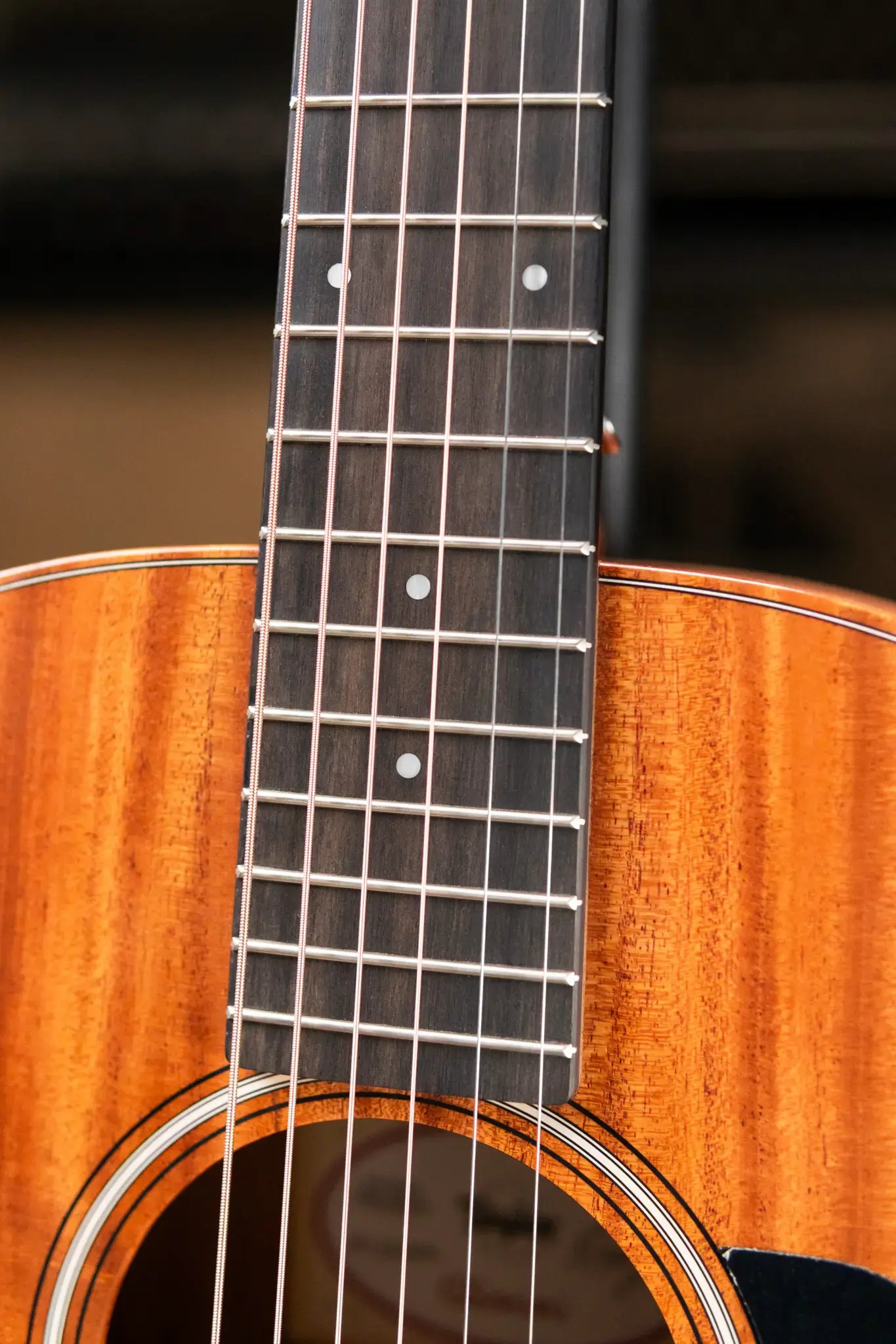 Taylor GS Mini Mahogany Acoustic Guitar with Structured Gig Bag