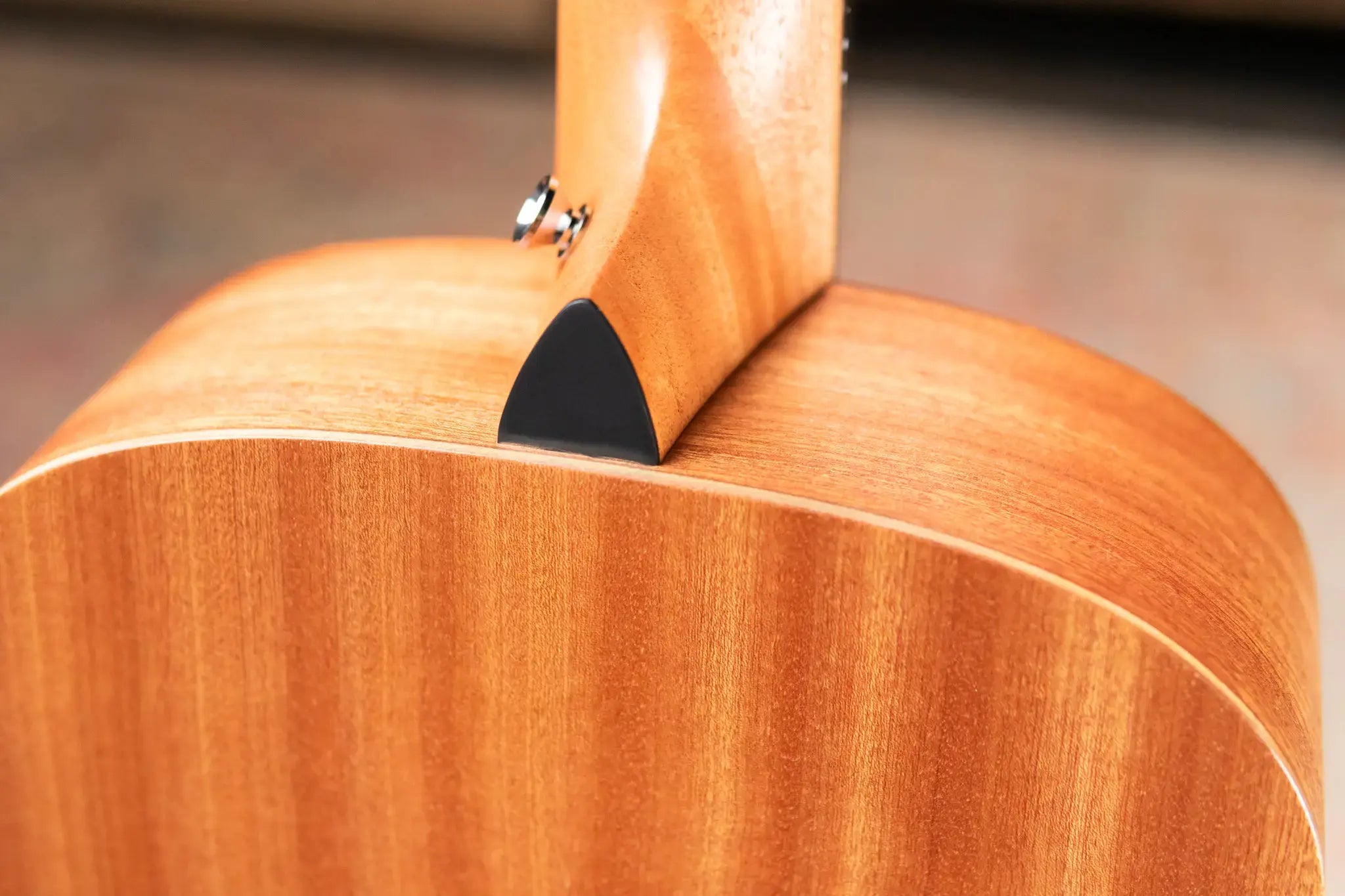 Taylor GS Mini Mahogany Acoustic Guitar with Structured Gig Bag