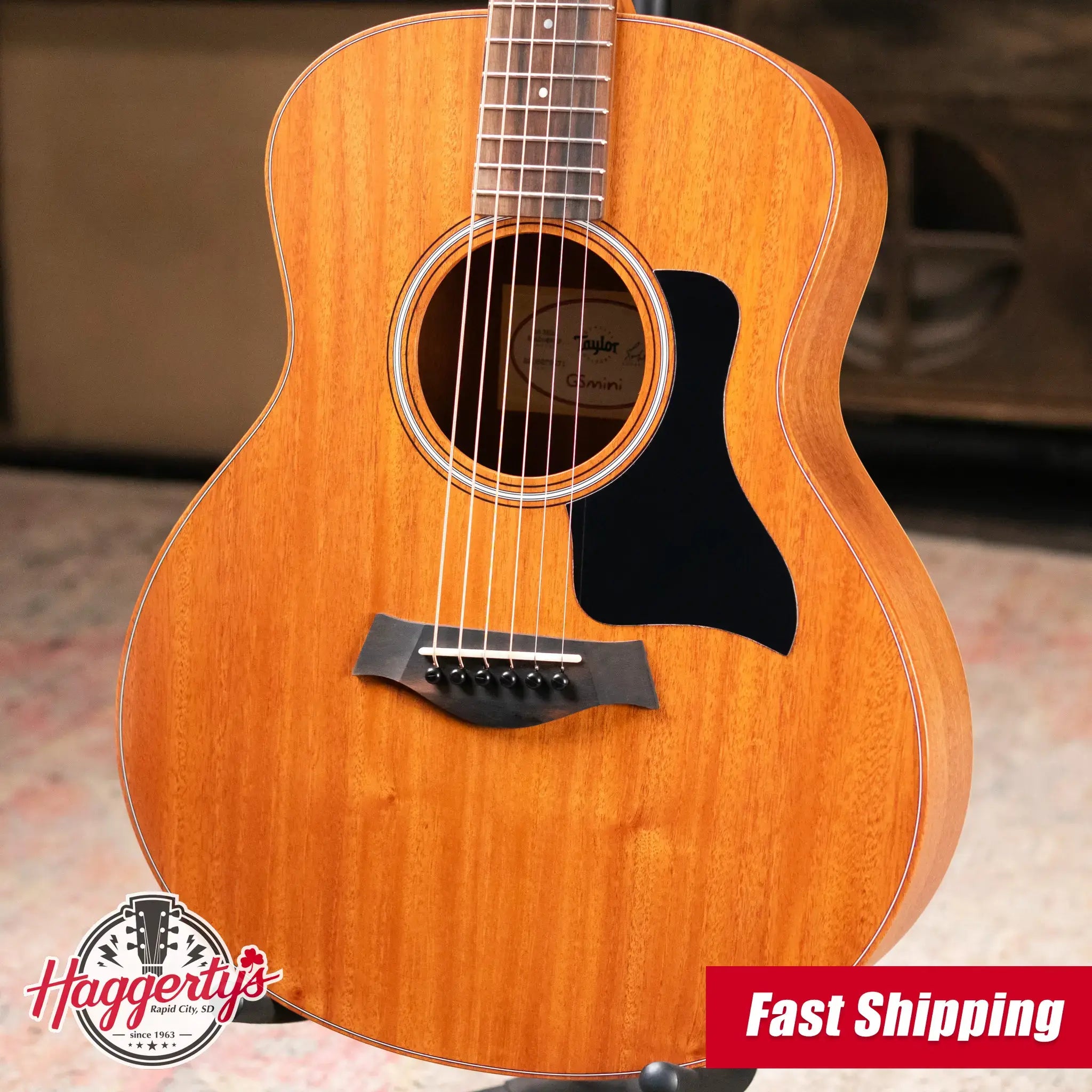 Taylor GS Mini Mahogany Acoustic Guitar with Structured Gig Bag