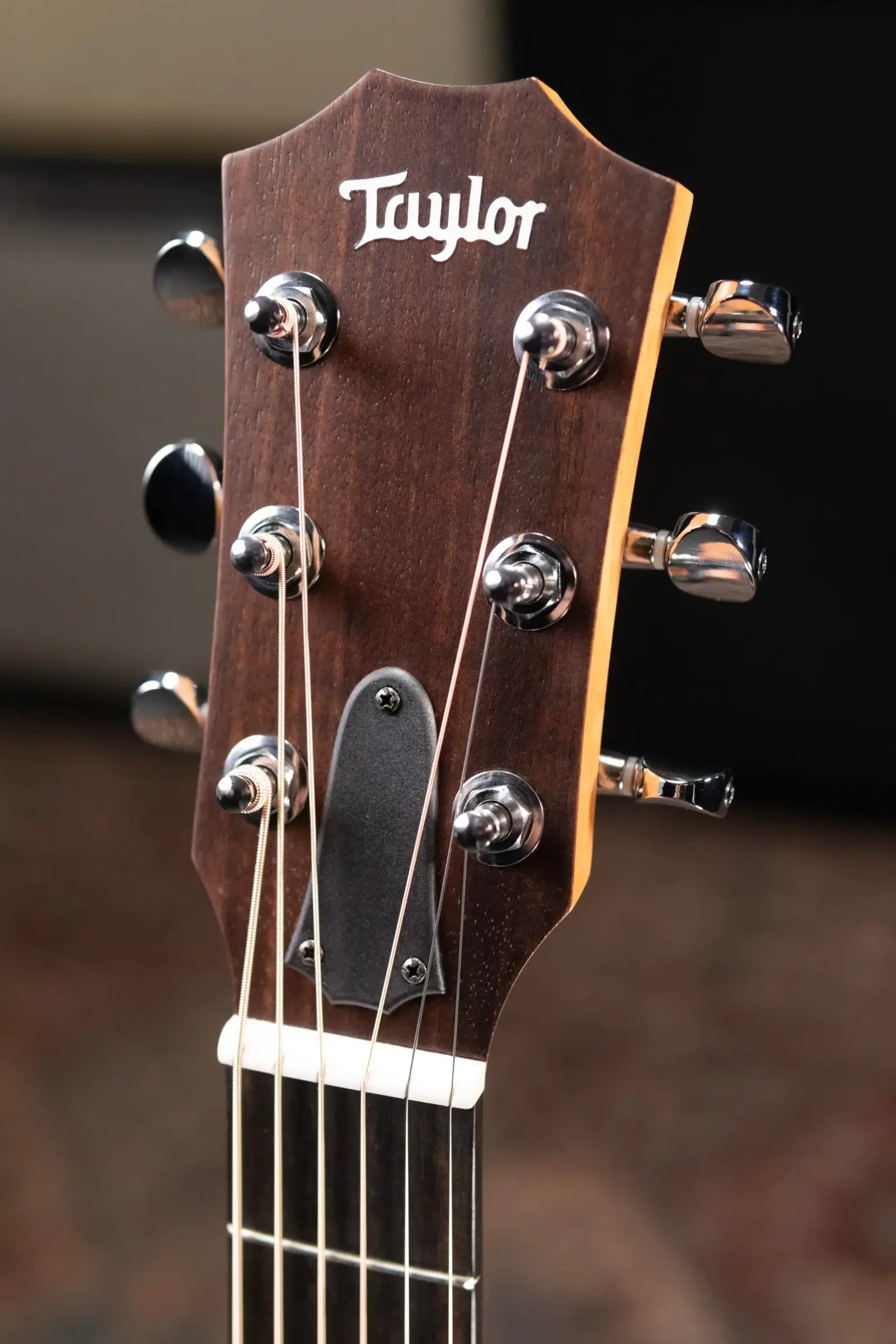 Taylor GS Mini Mahogany Acoustic Guitar with Structured Gig Bag
