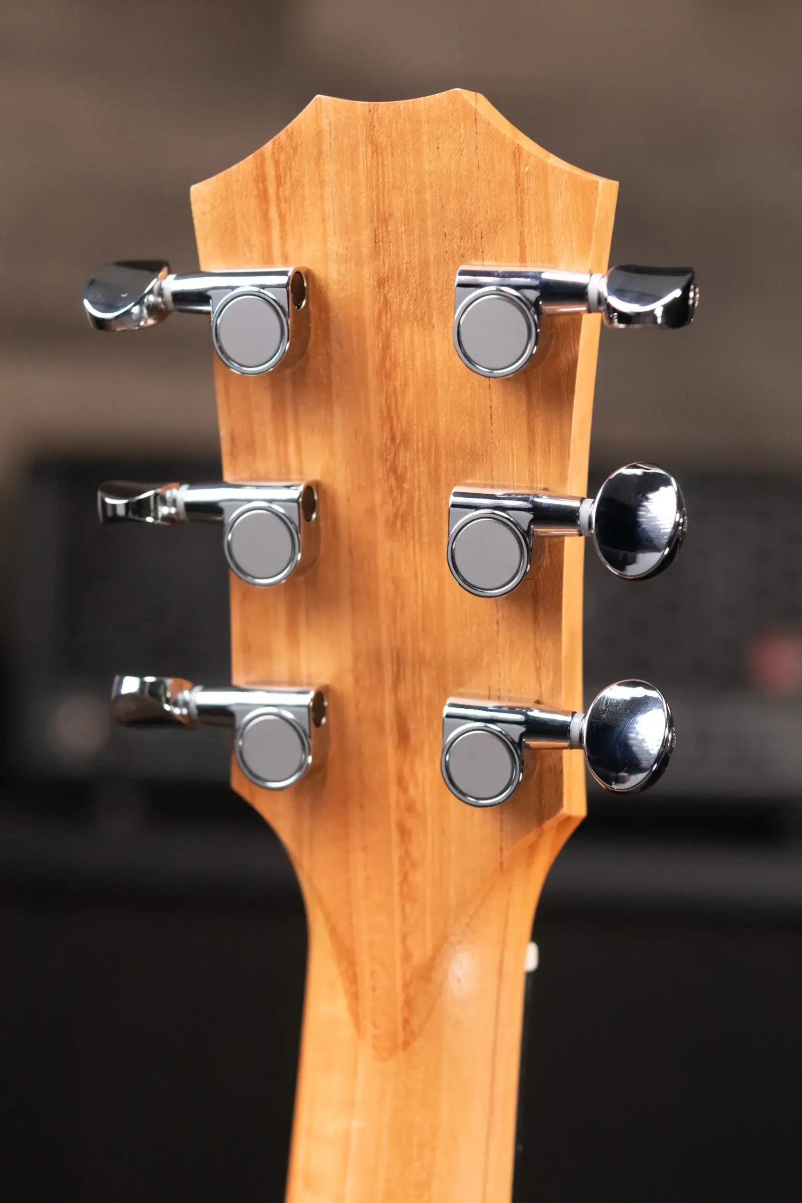 Taylor GS Mini Mahogany Acoustic Guitar with Gig Bag