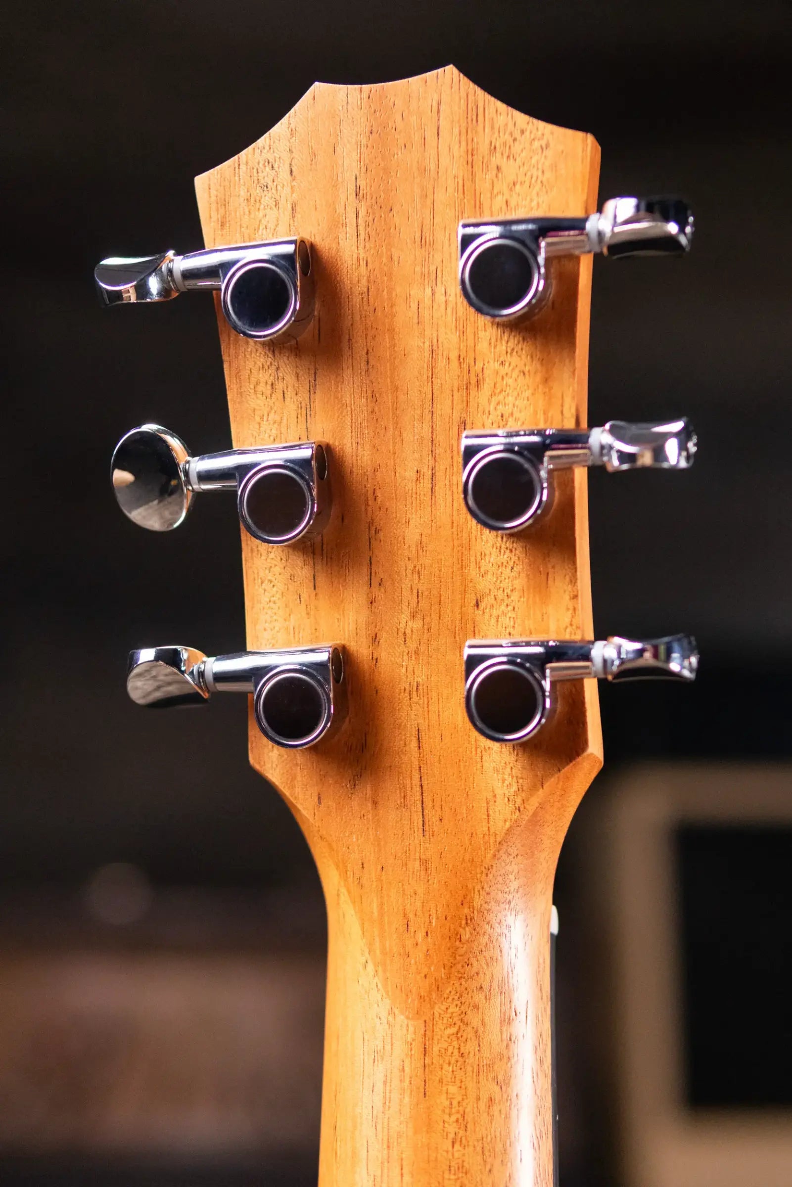 Taylor GS Mini Mahogany Acoustic Guitar with Structured Gig Bag