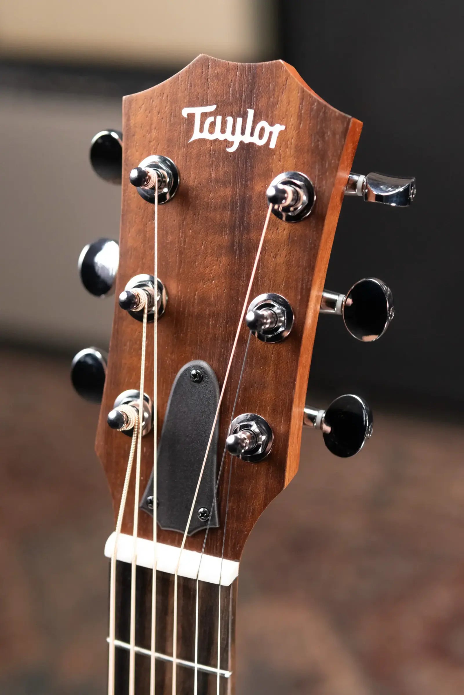 Taylor GS Mini Sapele Acoustic Guitar with GS Mini Bag