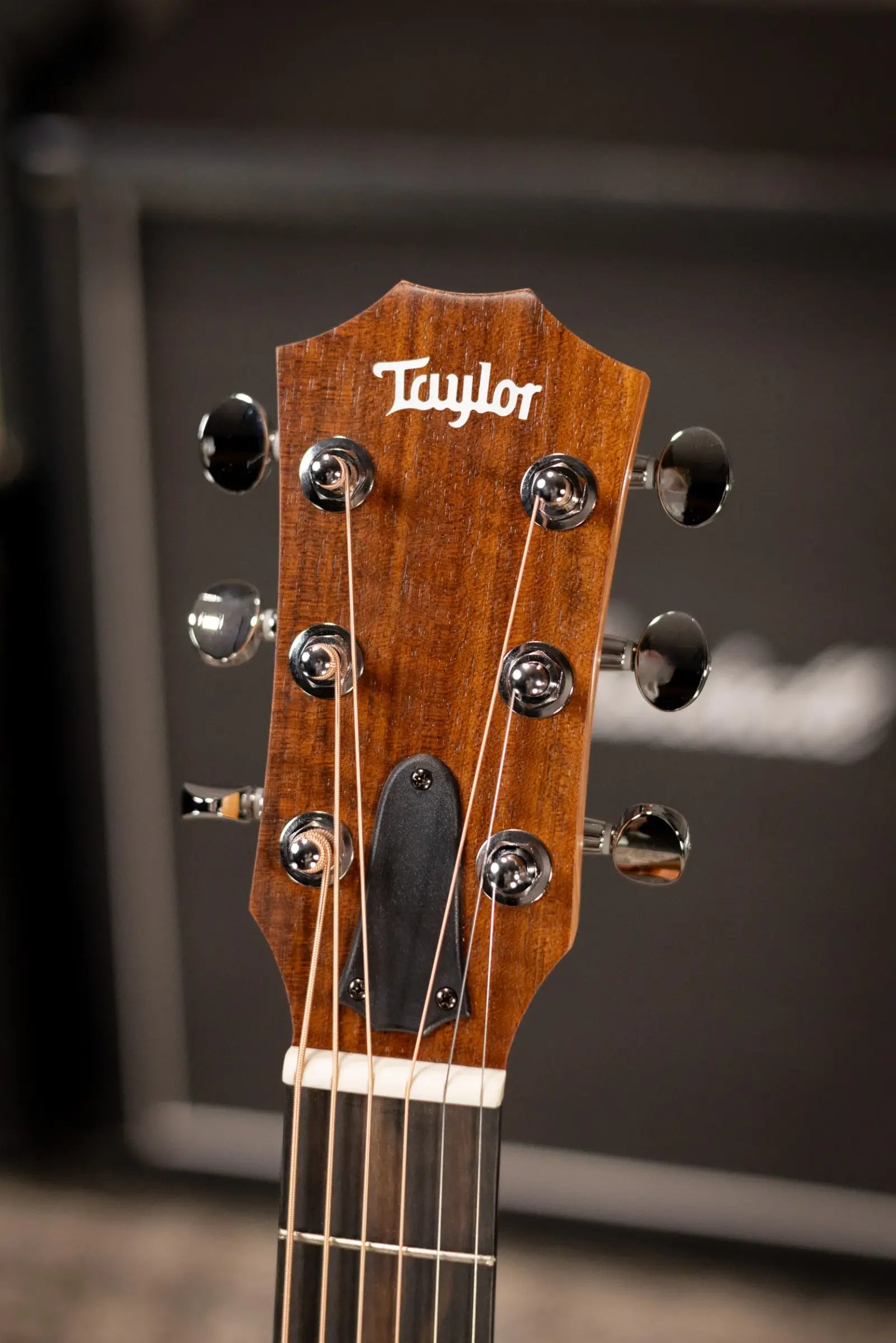 Taylor GS Mini Sapele Acoustic Guitar with GS Mini Bag