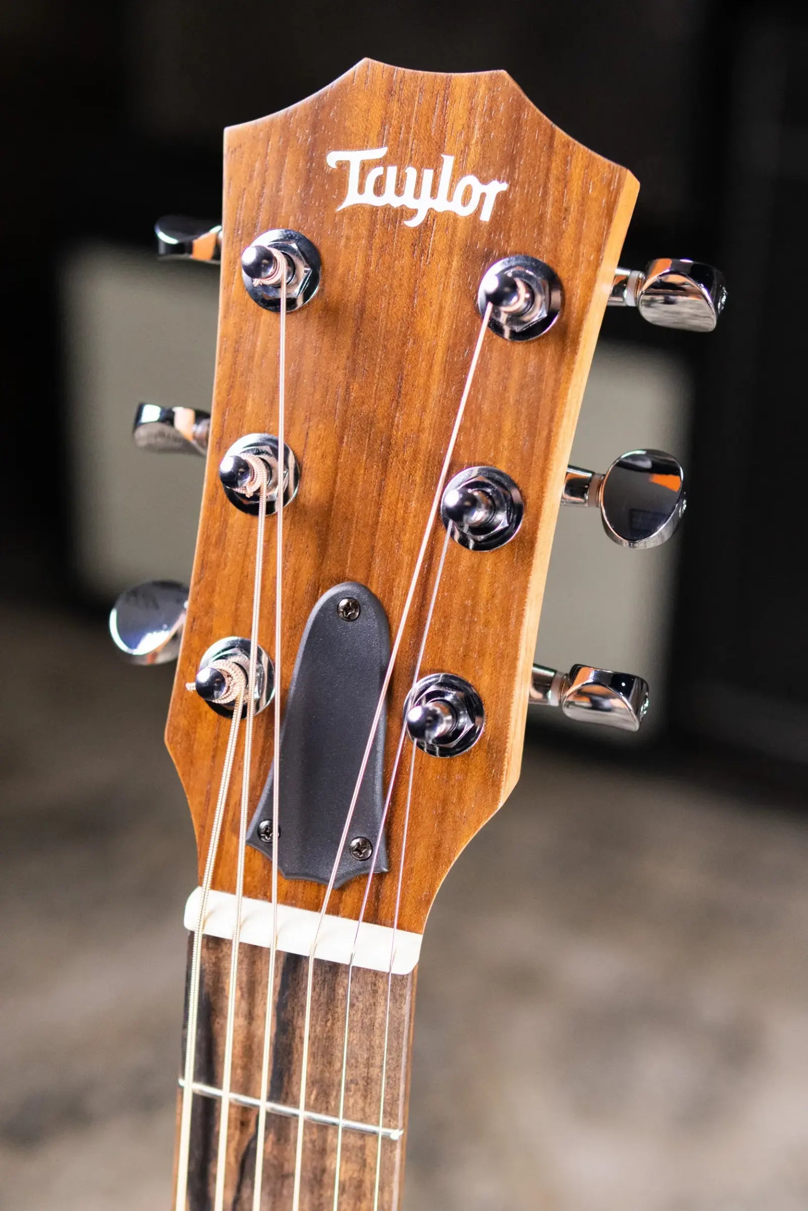 Taylor GS Mini Sapele Acoustic Guitar with GS Mini Hard Bag
