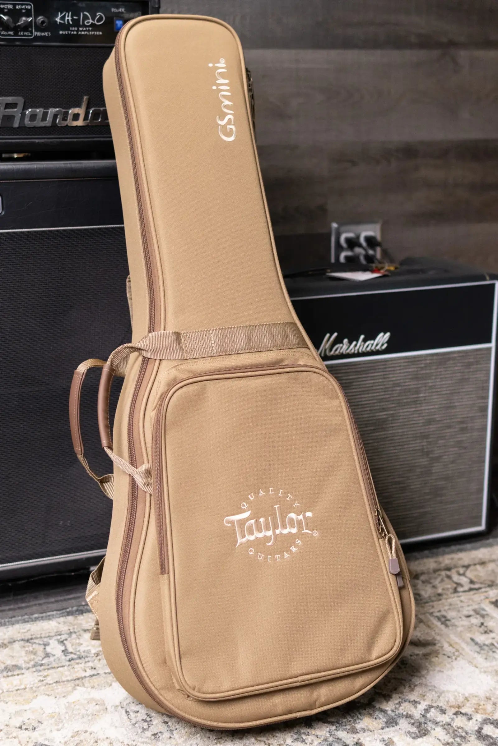 Taylor GS Mini Sapele Acoustic Guitar with GS Mini Hard Bag