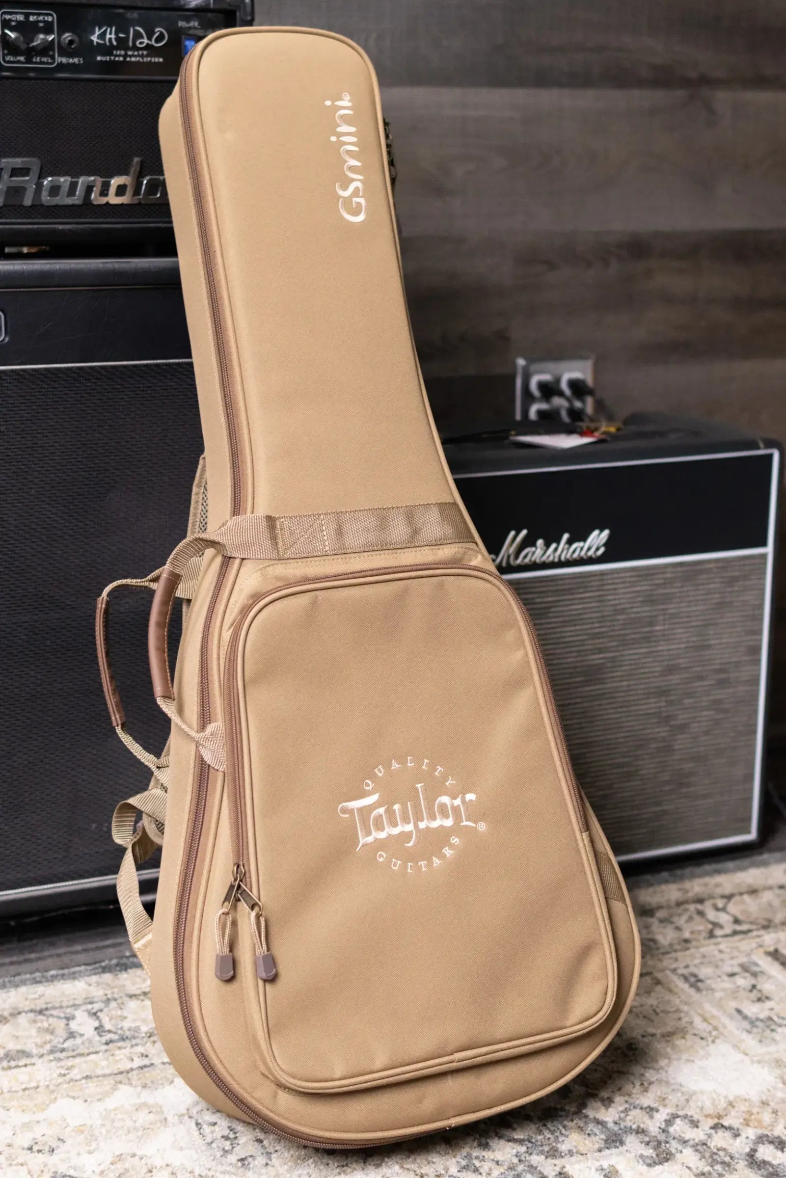 Taylor GS Mini Sapele Acoustic Guitar with GS Mini Hard Bag