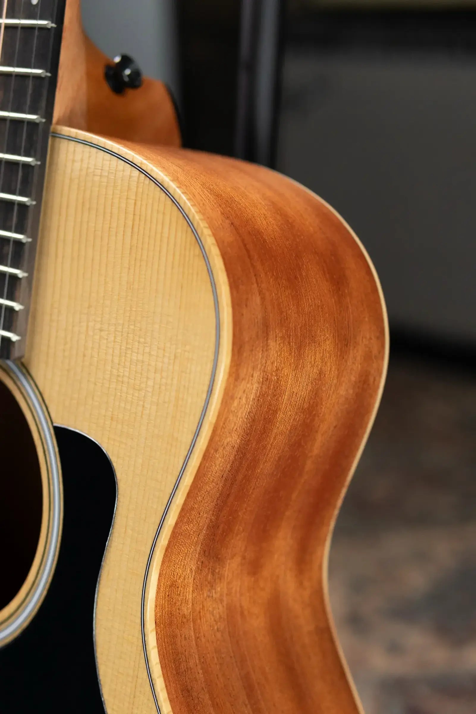 Taylor GS Mini Sapele Acoustic Guitar with GS Mini Hard Bag