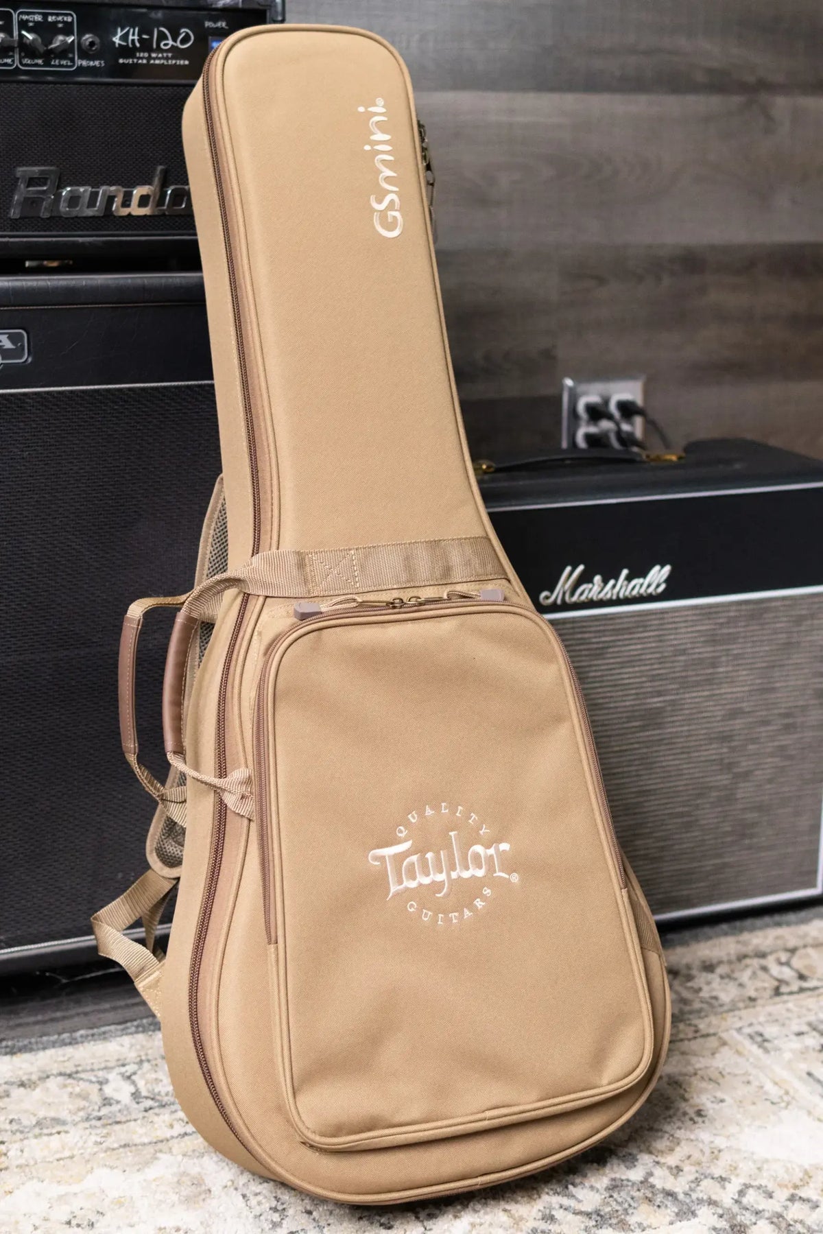 Taylor GS Mini Sapele Acoustic Guitar with GS Mini Hard Bag