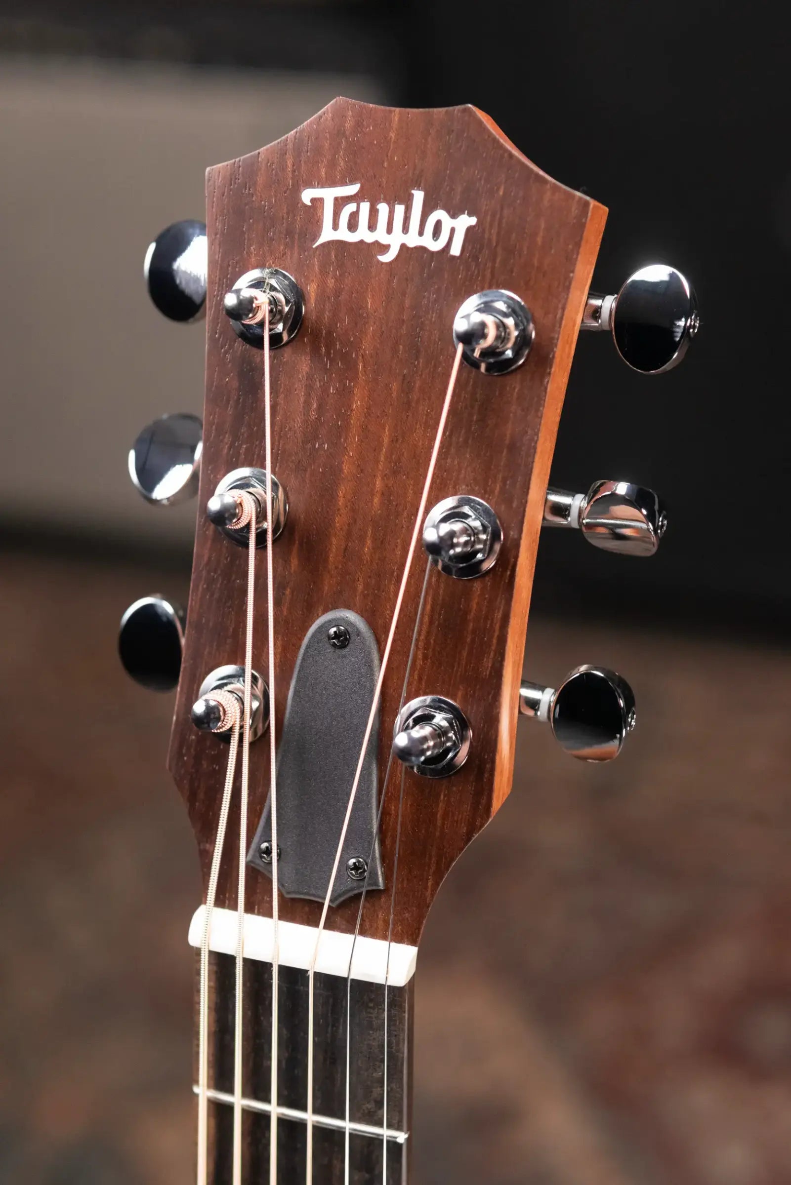 Taylor GS Mini Sapele Acoustic Guitar with Gig Bag