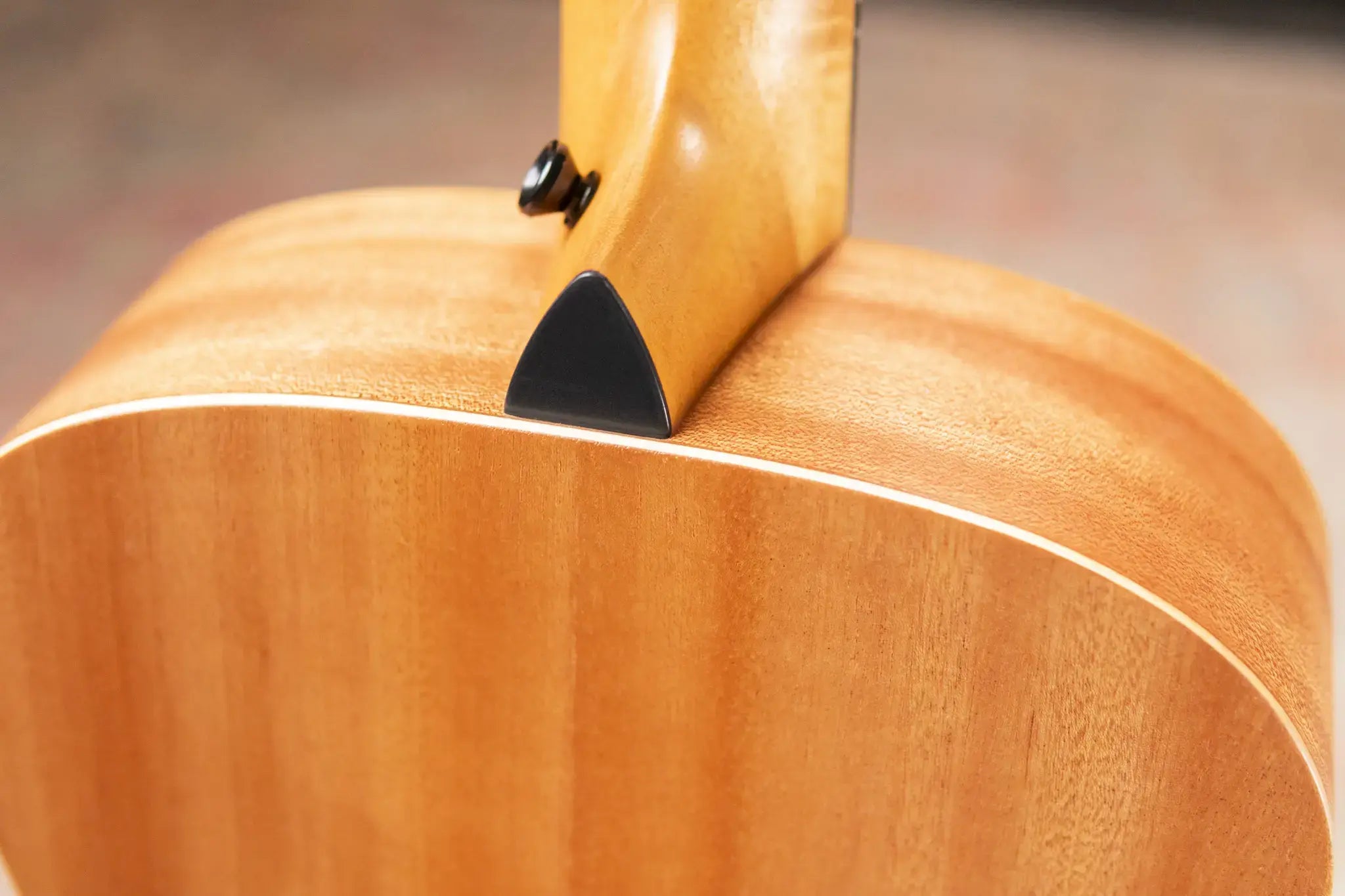 Taylor GS Mini Sapele Acoustic Guitar with Gig Bag