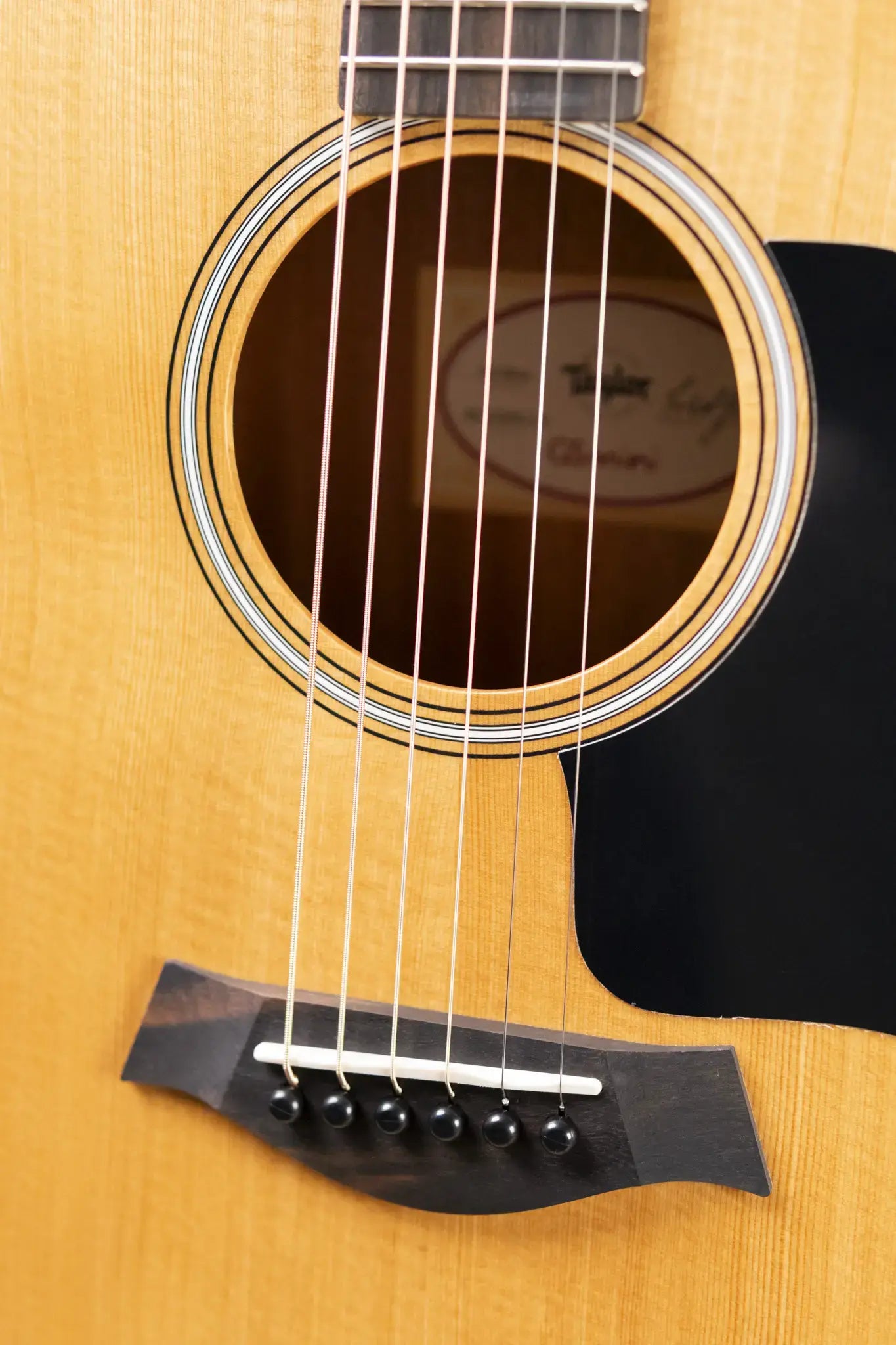 Taylor GS Mini Sapele Acoustic Guitar with Gig Bag