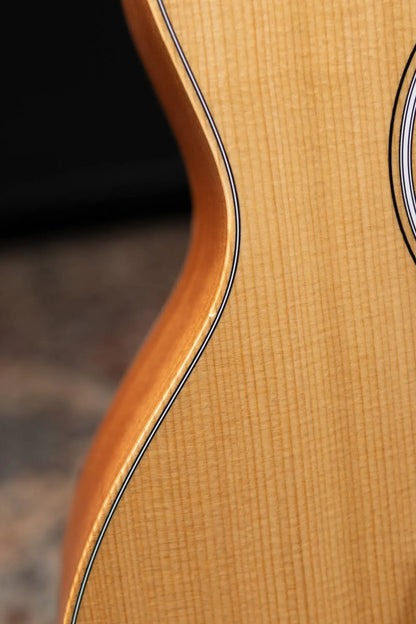 Taylor GS Mini Sapele Acoustic Guitar with Gig Bag - Floor Demo
