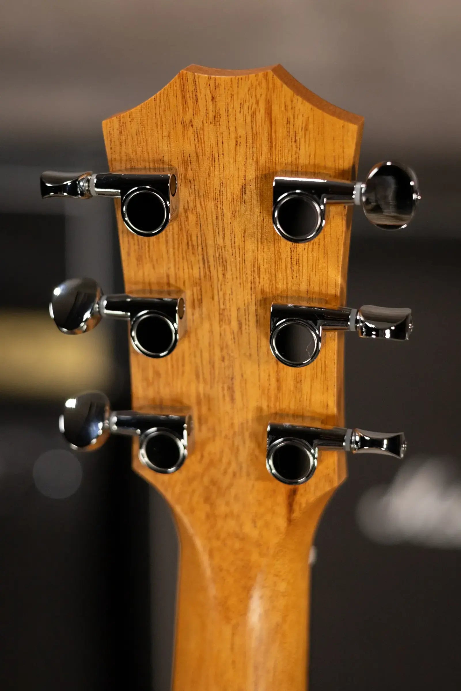 Taylor GS Mini Sapele Acoustic Guitar with Tan Structured Gig Bag