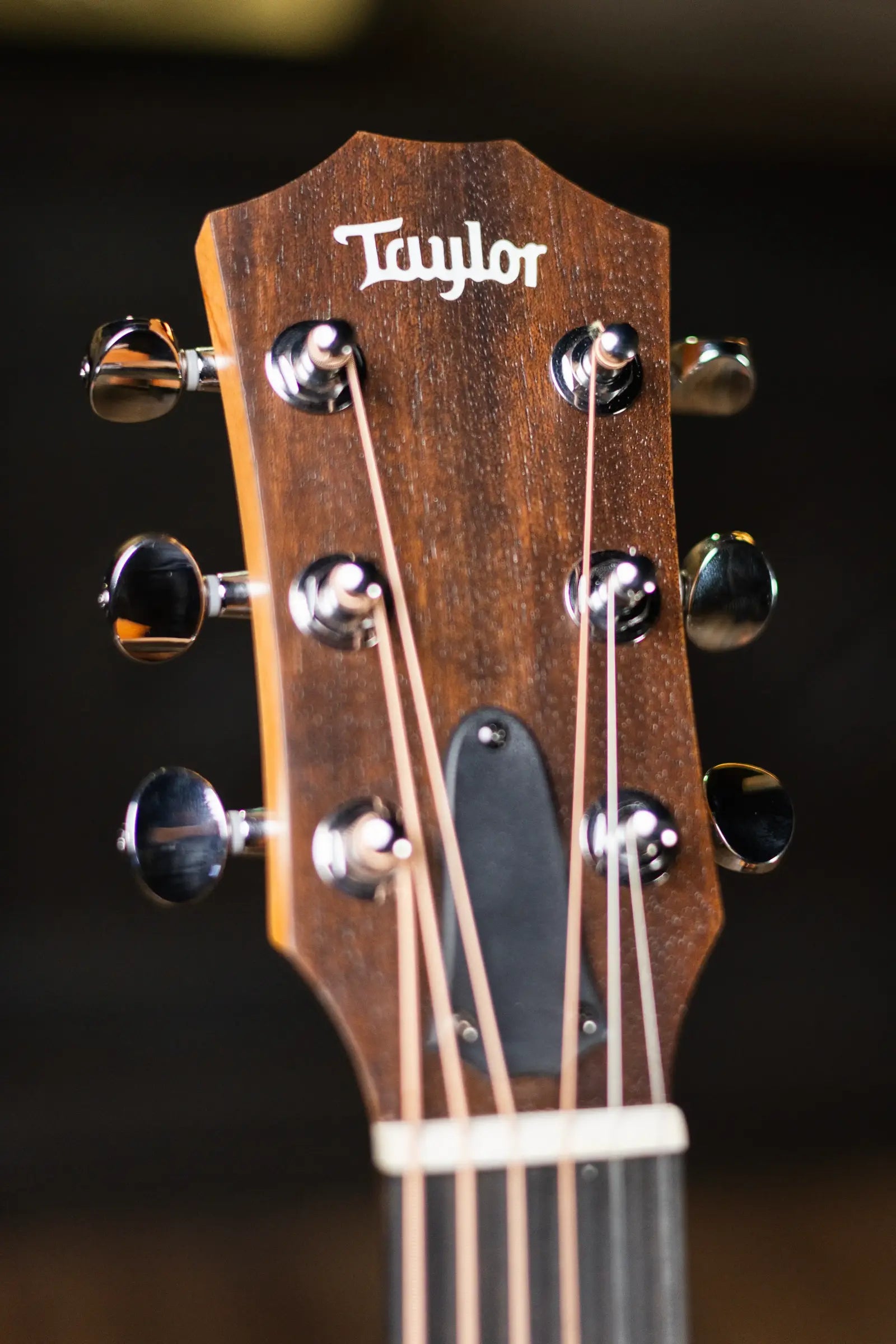 Taylor GS Mini Sapele Acoustic Guitar with Tan Structured Gigbag