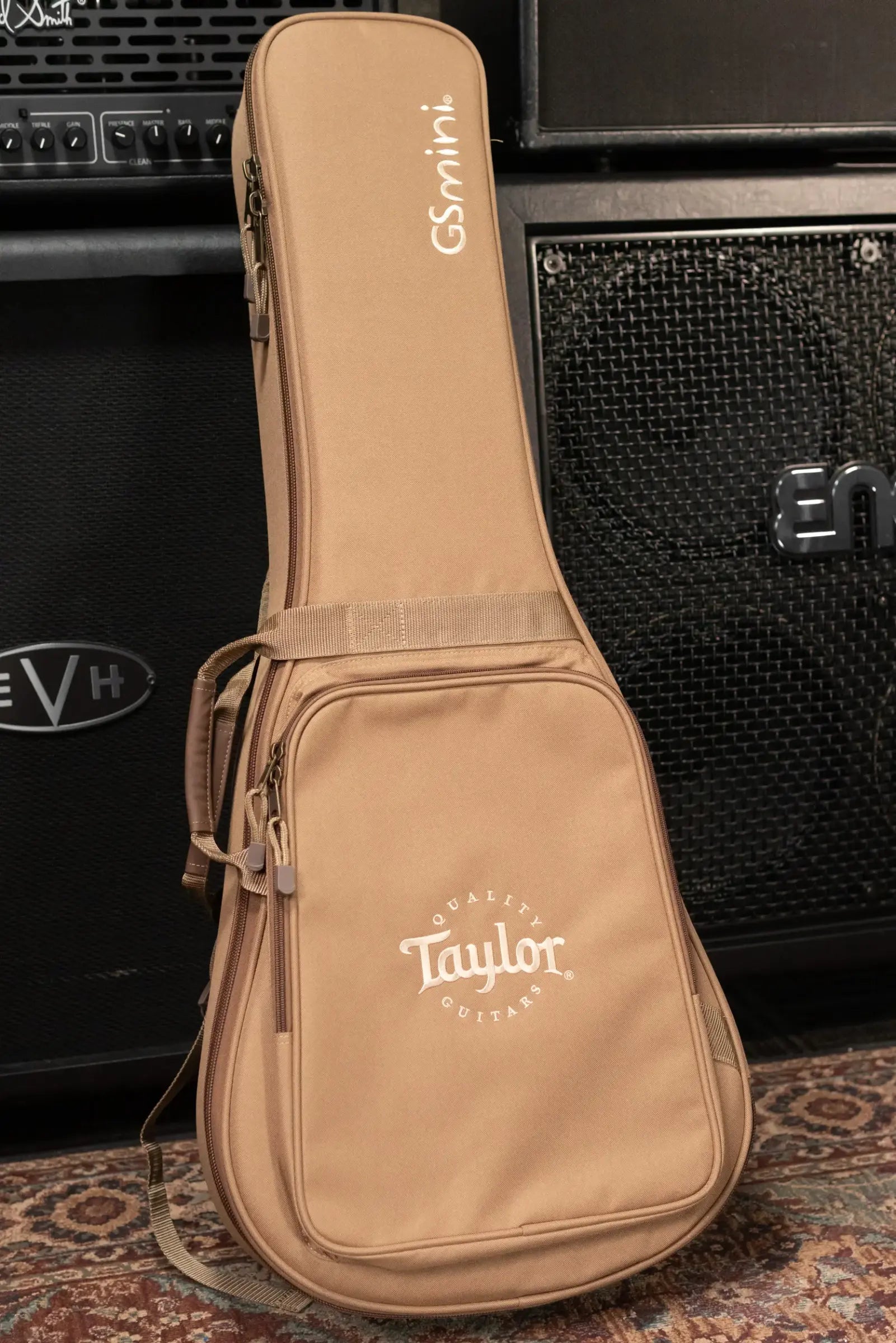 Taylor GS Mini Sapele Acoustic Guitar with Tan Structured Gigbag