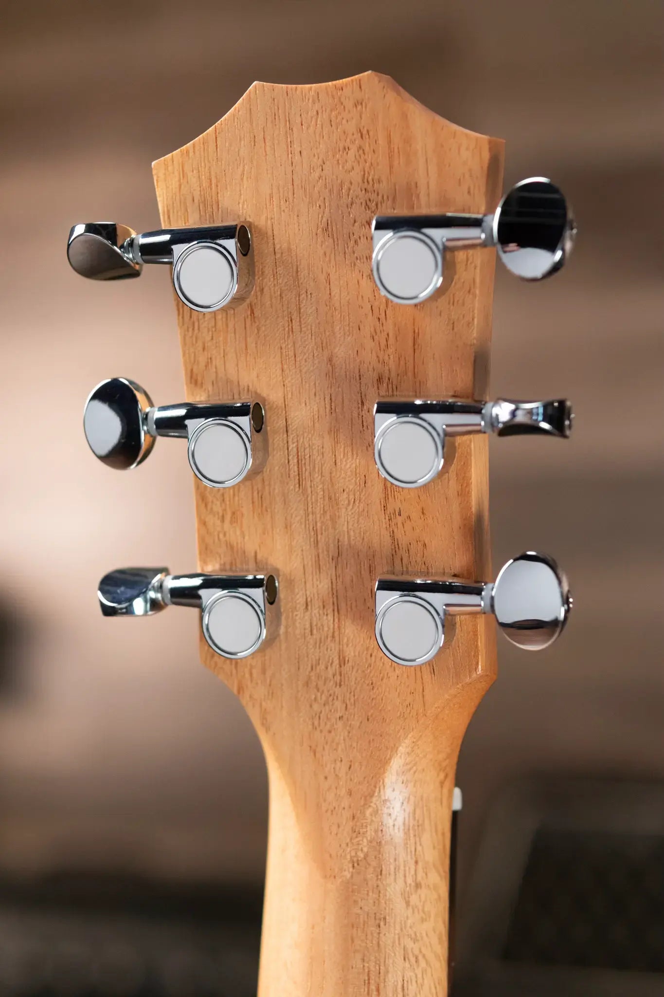 Taylor GS Mini Sapele Acoustic with GS Mini Bag