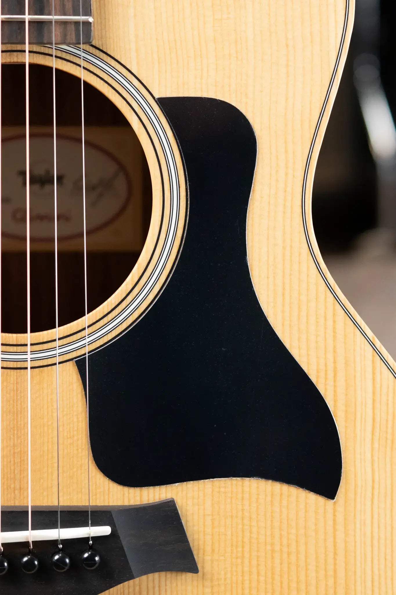 Taylor GS Mini Sapele Acoustic with GS Mini Bag