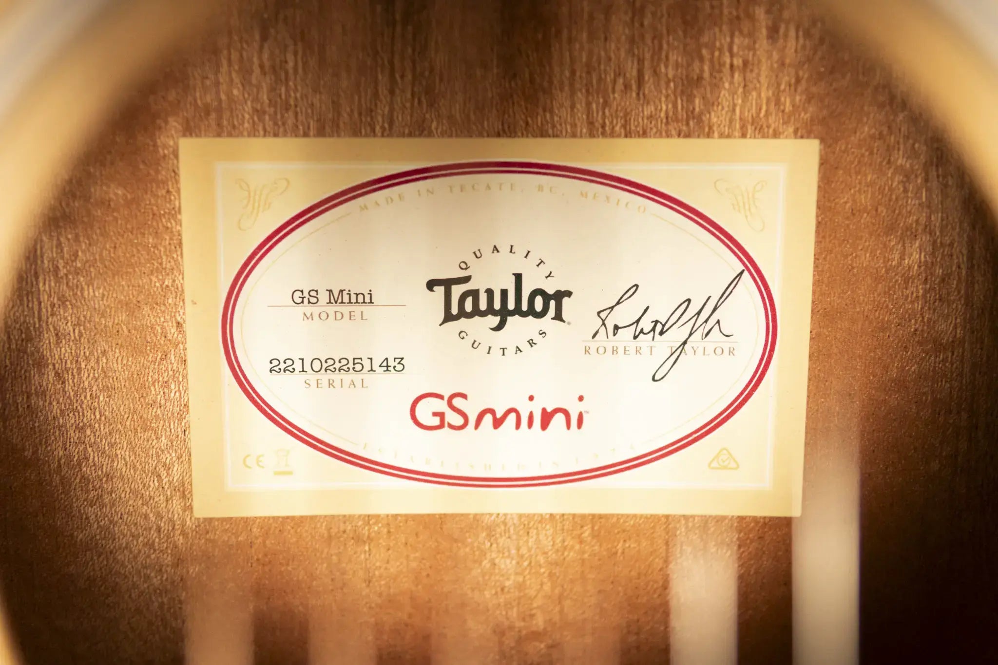 Taylor GS Mini Sapele with Tan Structured Gig Bag