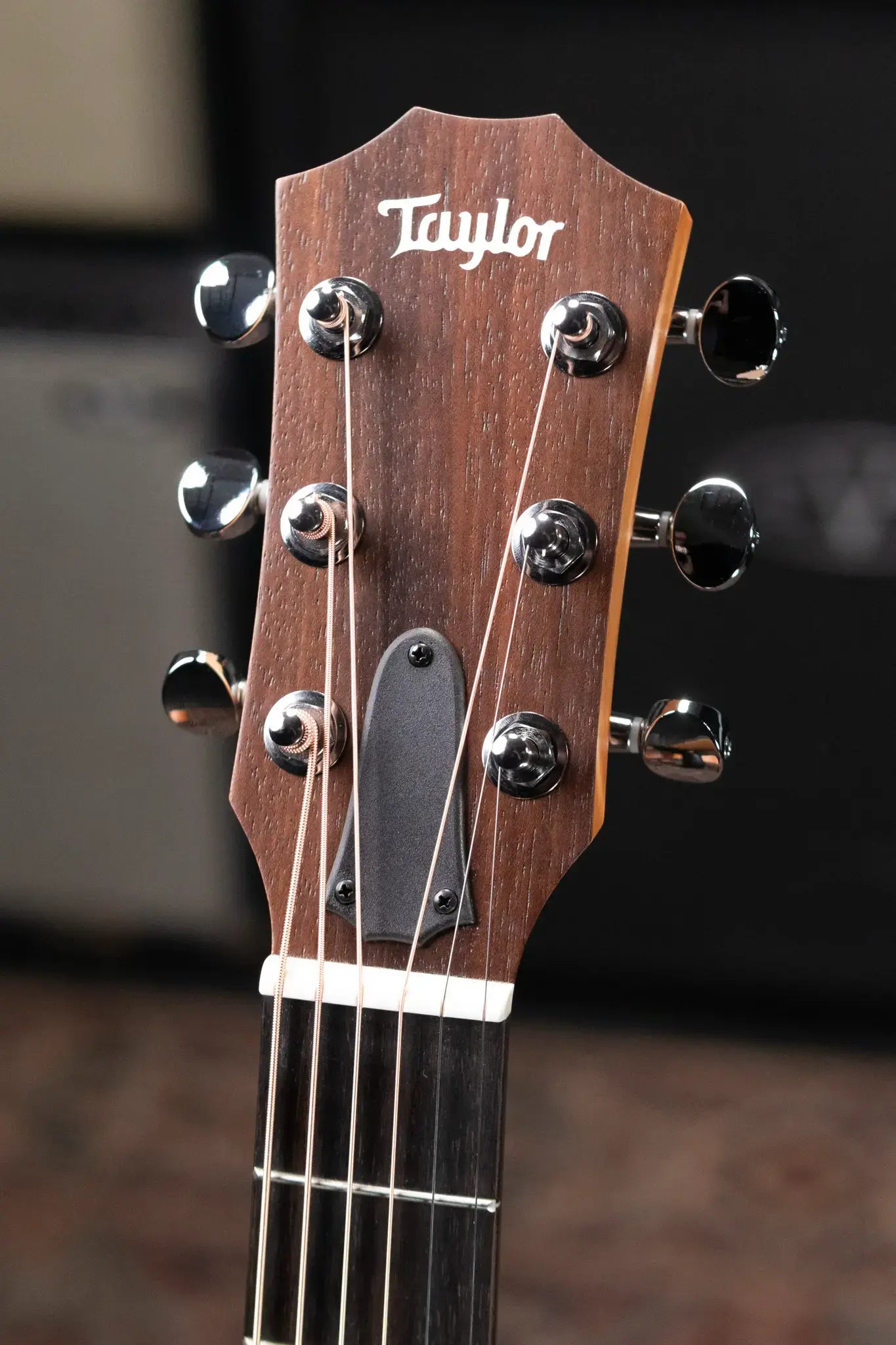 Taylor GS Mini Special Edition Acoustic Guitar - Guitars 4 Vets Americana with GS Mini Bag