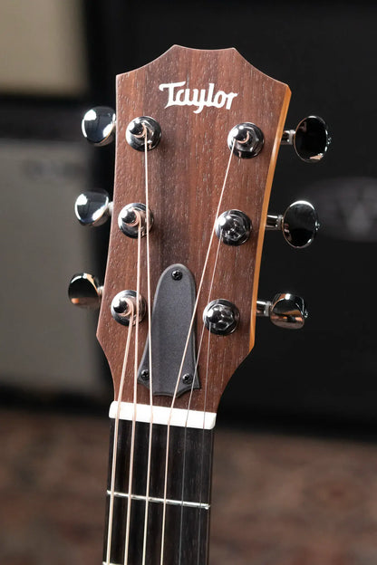 Taylor GS Mini Special Edition Acoustic Guitar - Guitars 4 Vets Americana with GS Mini Bag