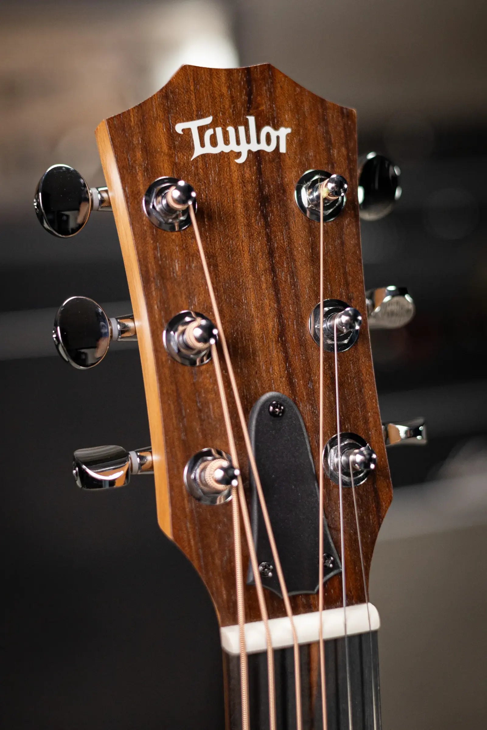Taylor GS Mini Special Edition Guitars 4 Veterans Acoustic Guitar - Americana with GS Mini Bag