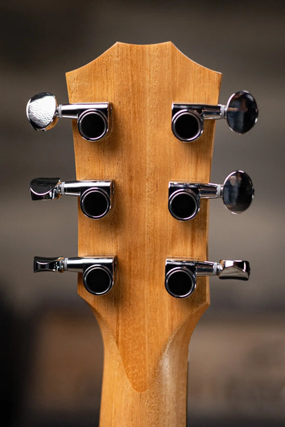 Taylor GS Mini Special Edition Guitars 4 Veterans Acoustic Guitar - Americana with GS Mini Bag