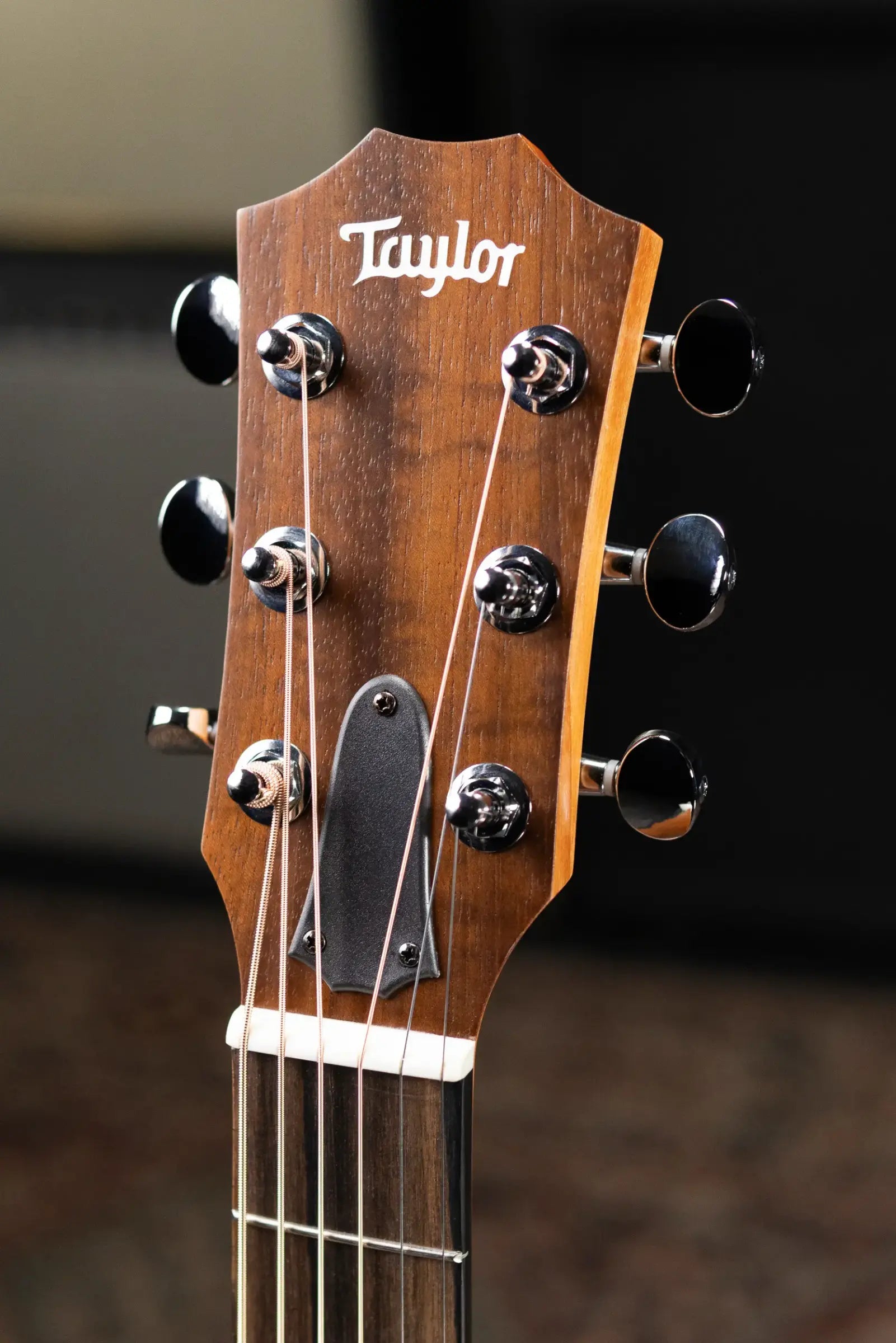 Taylor GS Mini Special Edition Guitars 4 Veterans Acoustic Guitar - Americana with GS Mini Bag