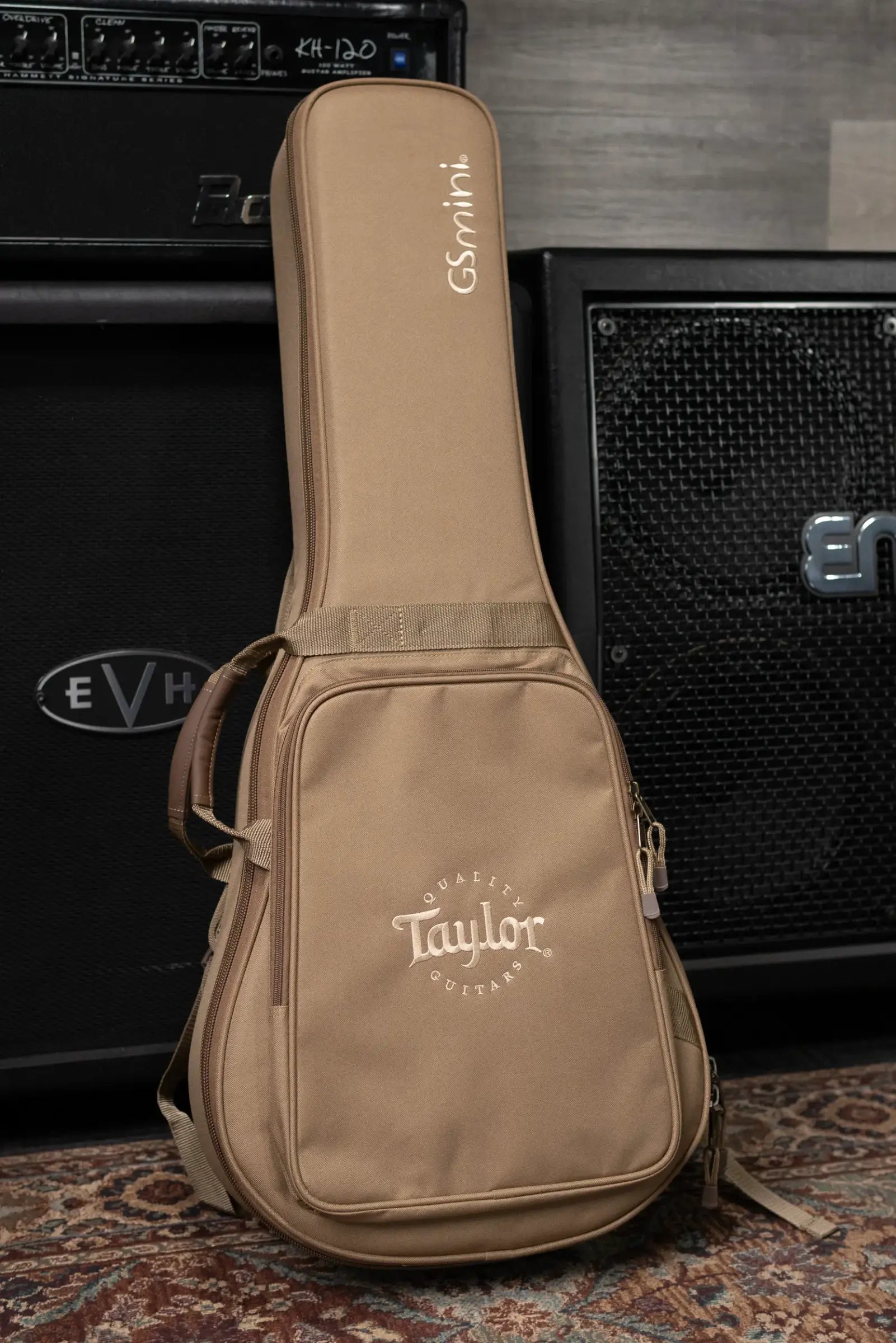 Taylor GS Mini Special Edition Guitars 4 Veterans Acoustic Guitar - Americana with GS Mini Bag