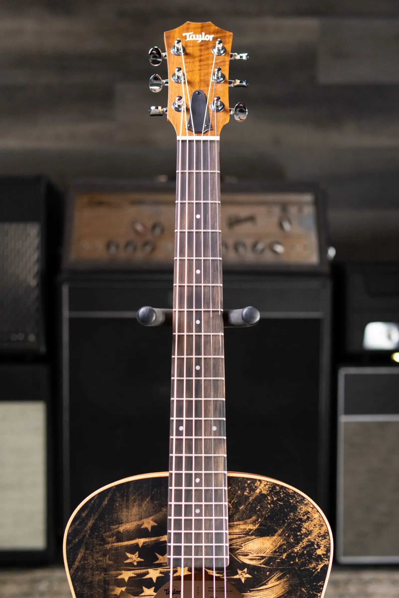 Taylor GS Mini Special Edition Guitars 4 Veterans Acoustic Guitar with GS Mini Bag
