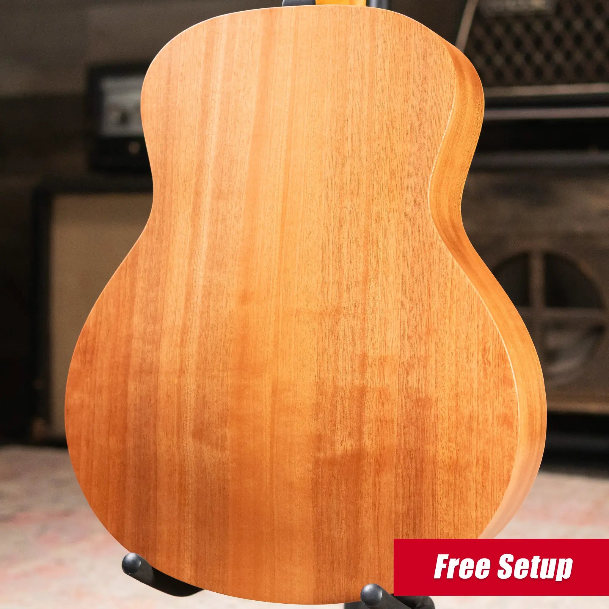 Taylor GS Mini Special Edition Guitars 4 Veterans Americana Acoustic Guitar with GS Mini Bag