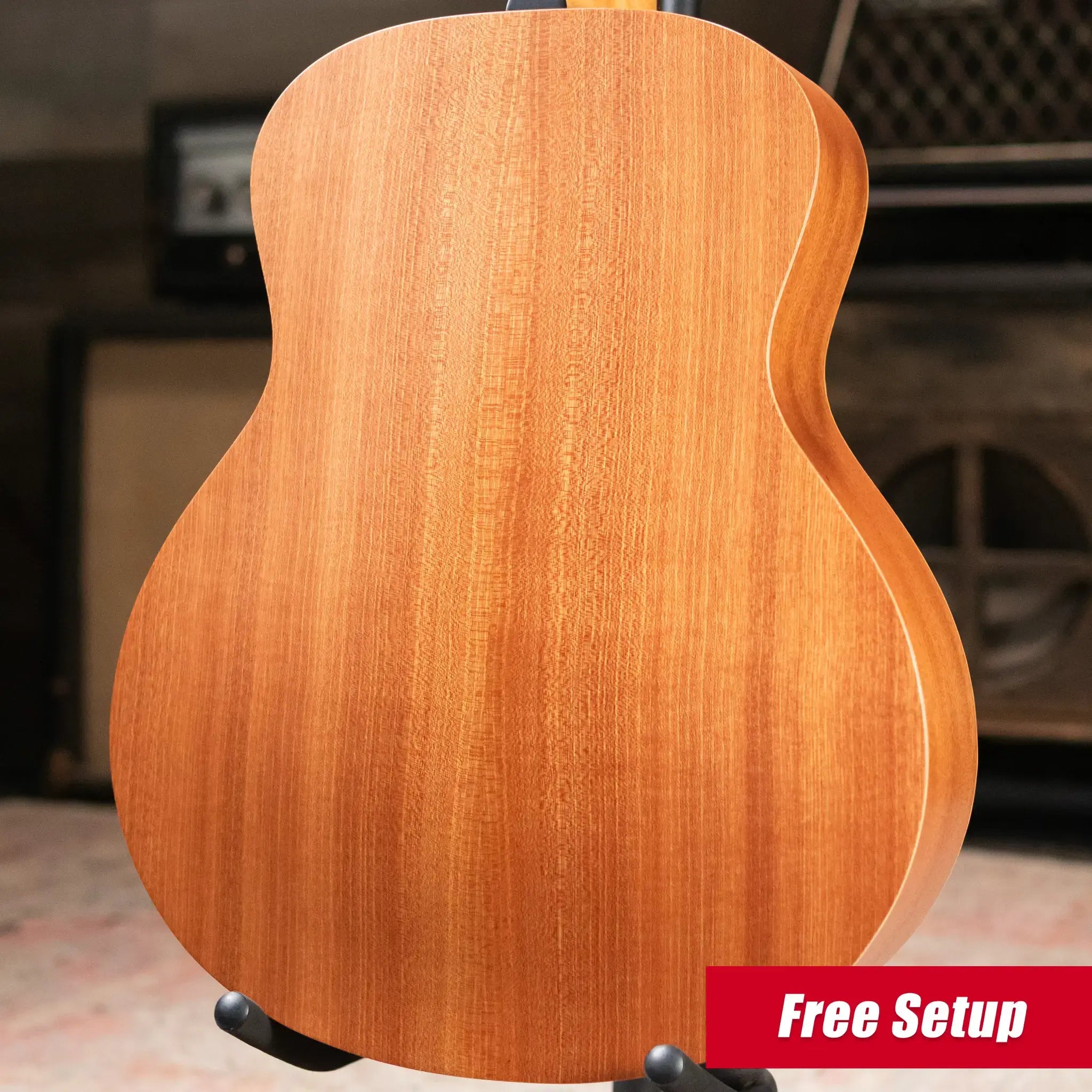 Taylor GS Mini Special Edition Guitars 4 Vets Americana Acoustic Guitar with GS Mini Bag