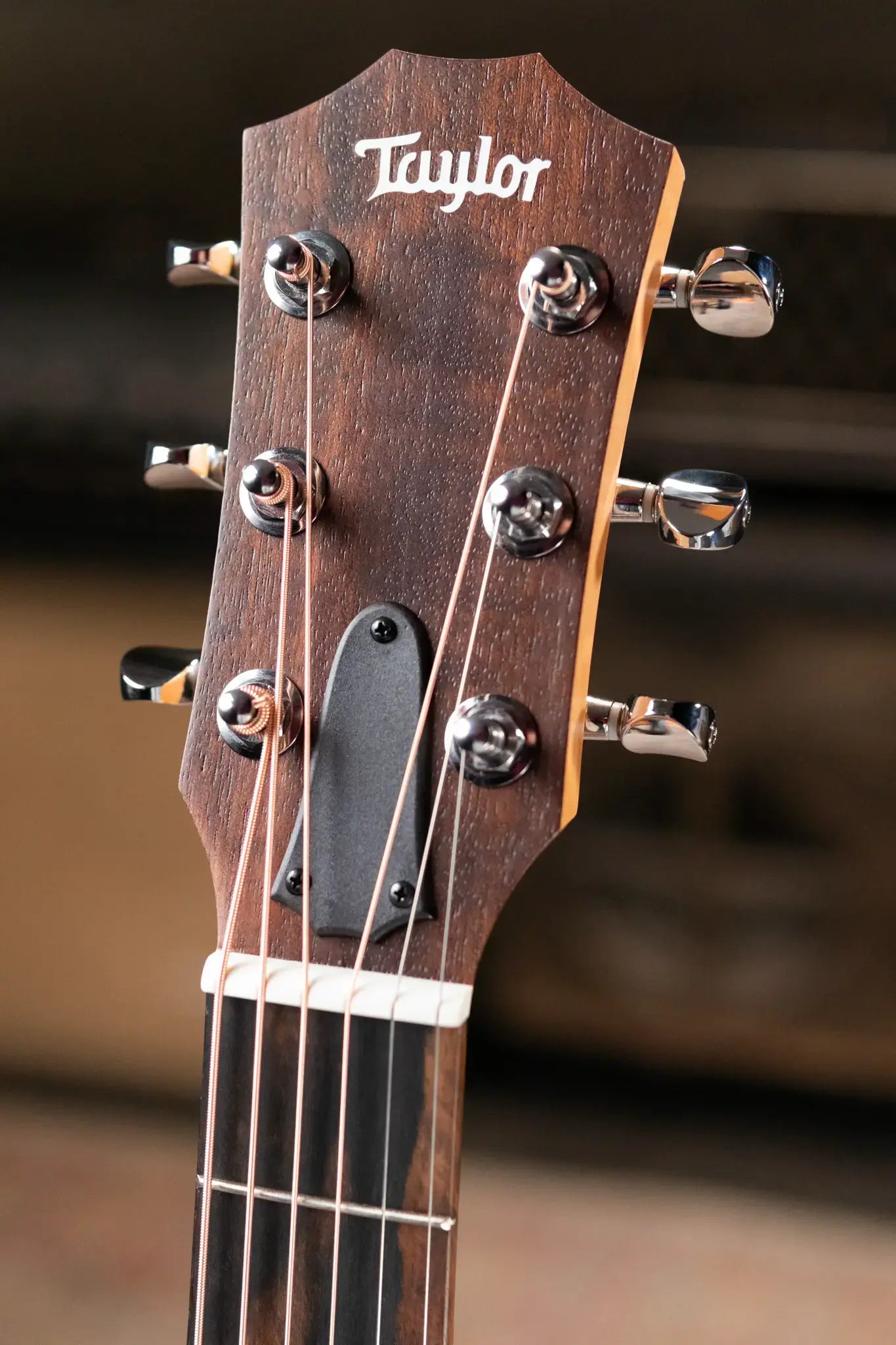 Taylor GS Mini Special Edition Guitars 4 Vets Americana Acoustic Guitar with GS Mini Bag