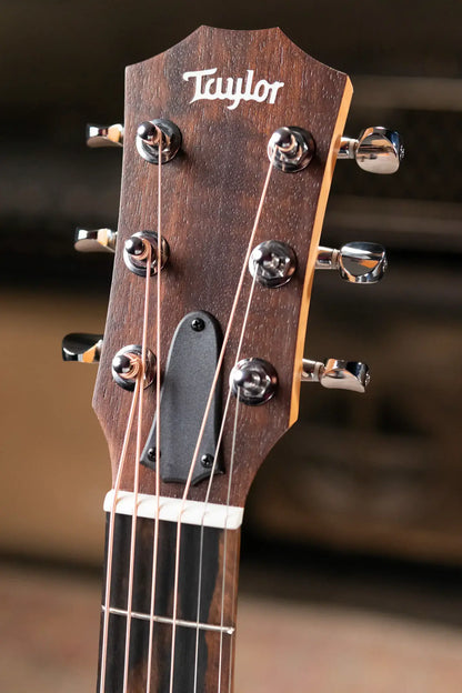 Taylor GS Mini Special Edition Guitars 4 Vets Americana Acoustic Guitar with GS Mini Bag