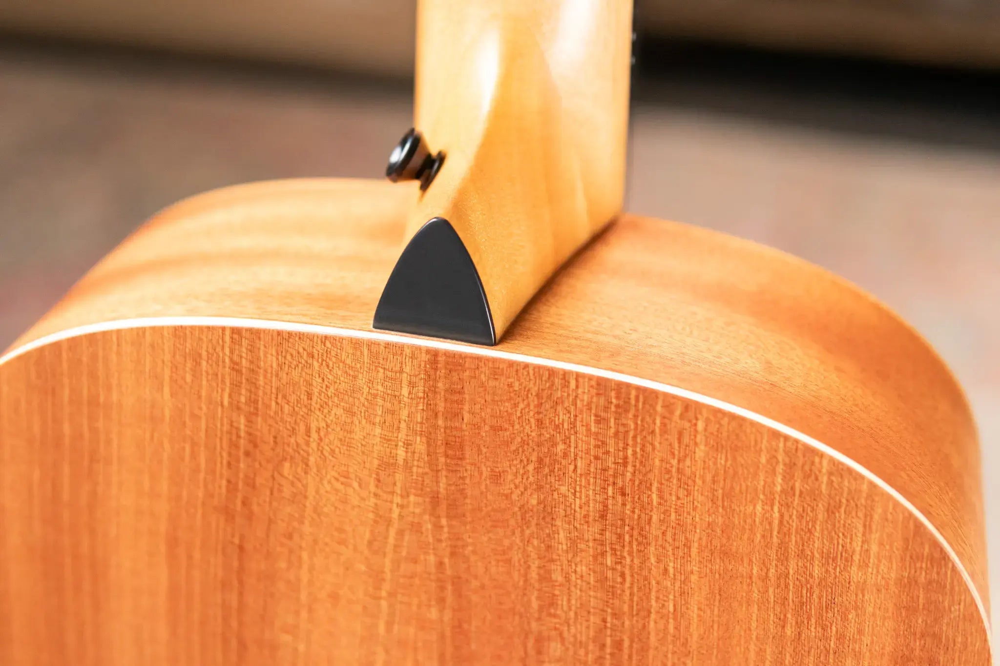 Taylor GS Mini Special Edition Guitars 4 Vets Americana Acoustic Guitar with GS Mini Bag