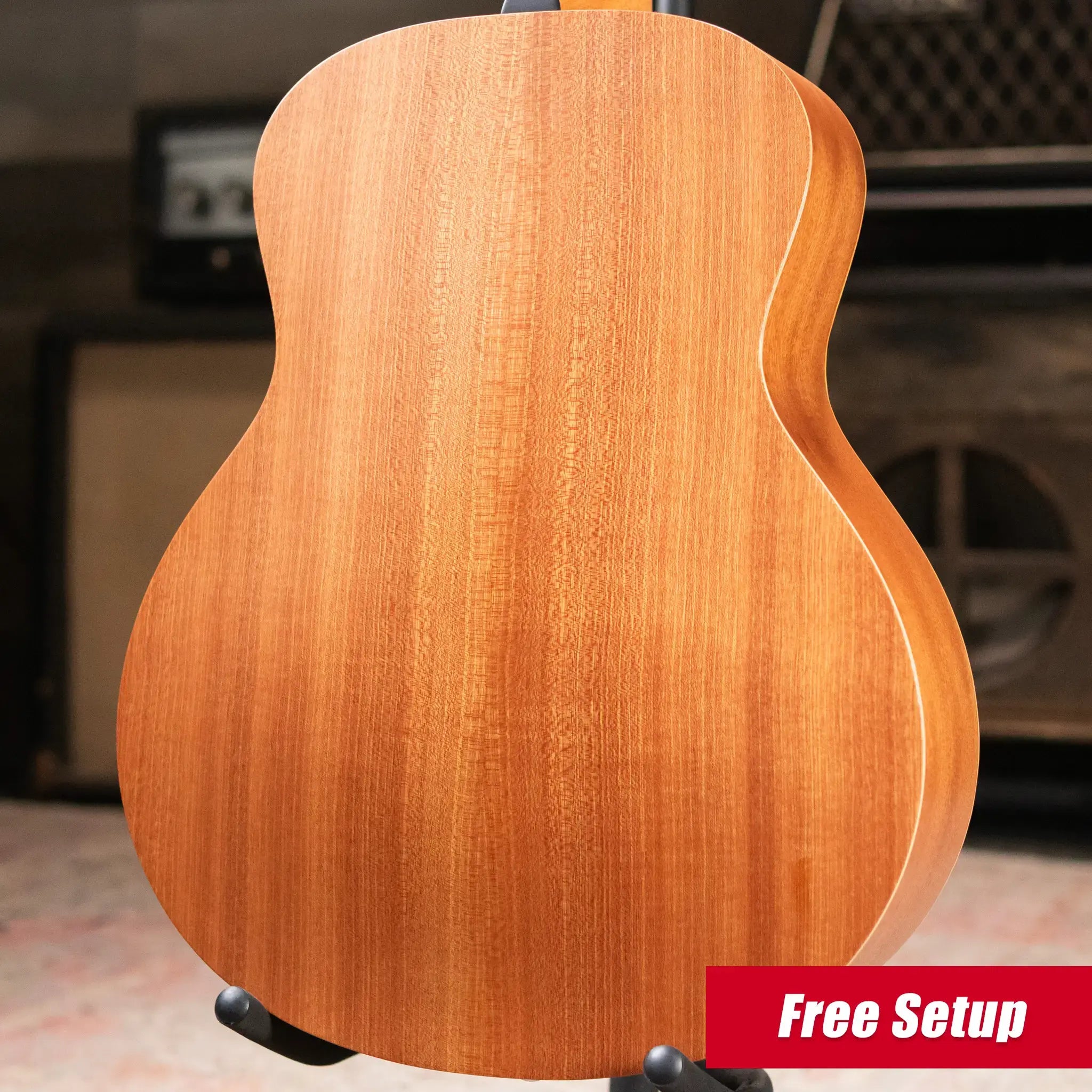 Taylor GS Mini Special Edition Guitars 4 Vets Americana Acoustic Guitar with GS Mini Bag